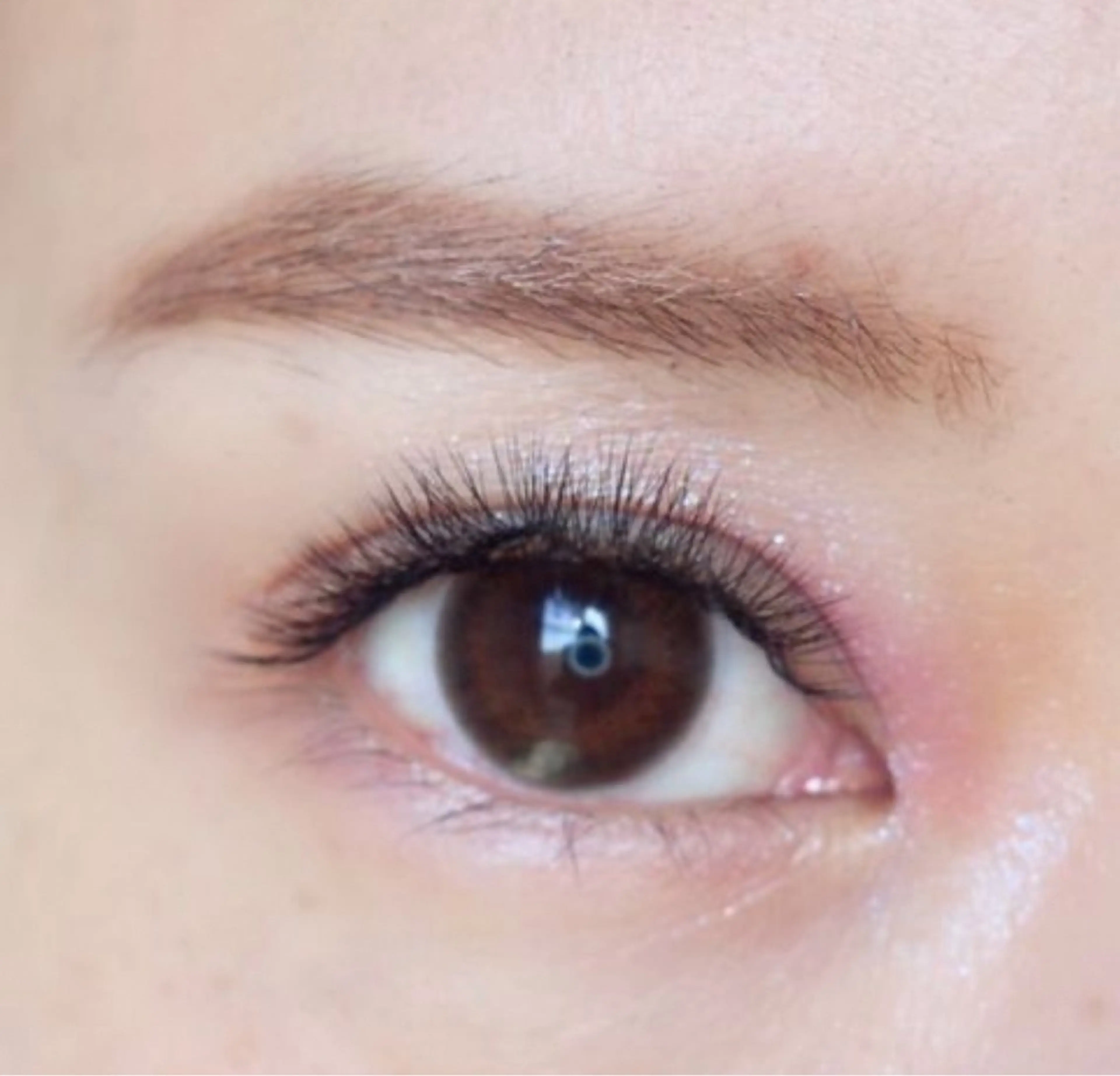 マツエク・マツパ ボリュームラッシュ 堺市/13trece LEDエク.マツパの眉毛・アイブロウイメージ