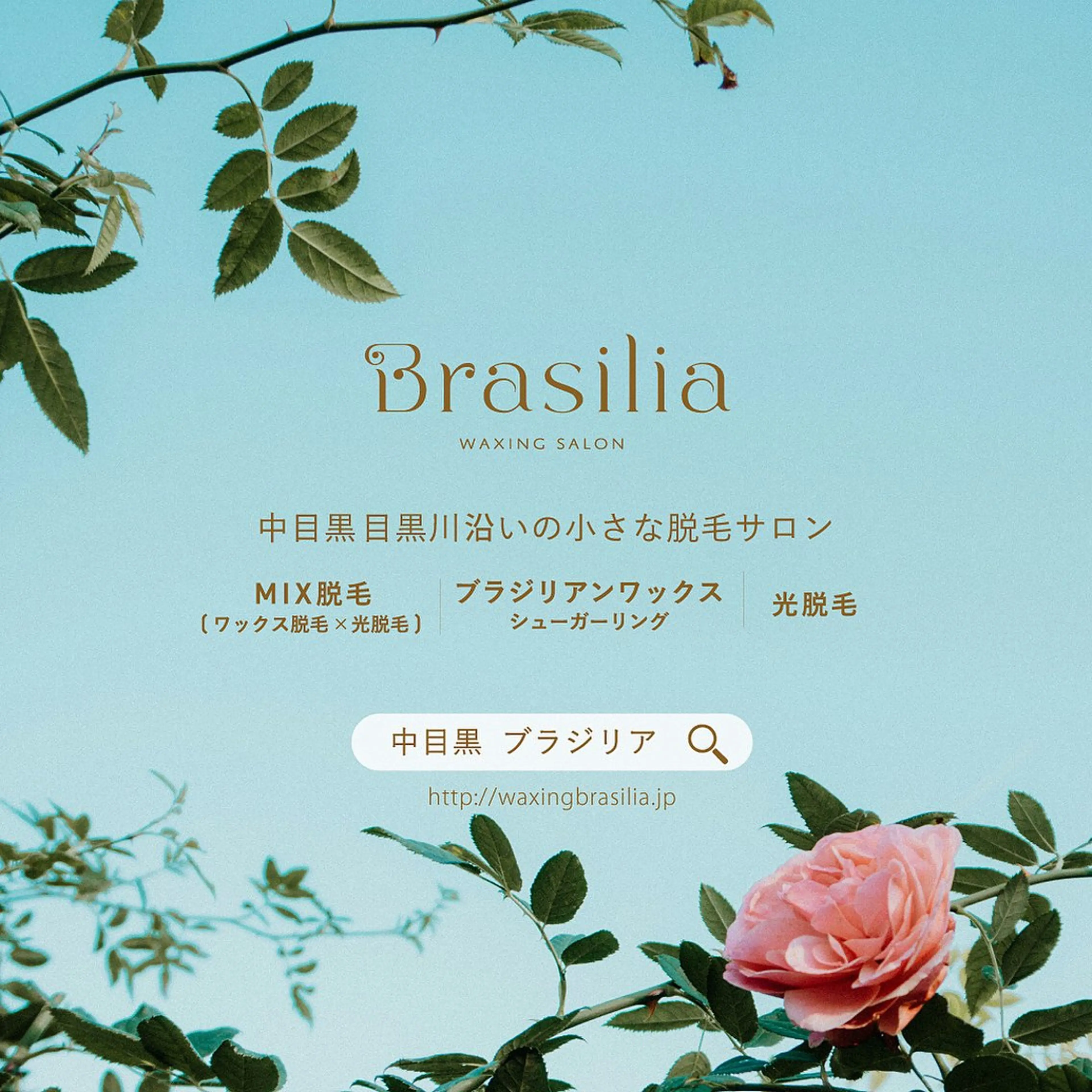 Brasilia所属・Brasilia Chikaのエステ・リラクイメージ