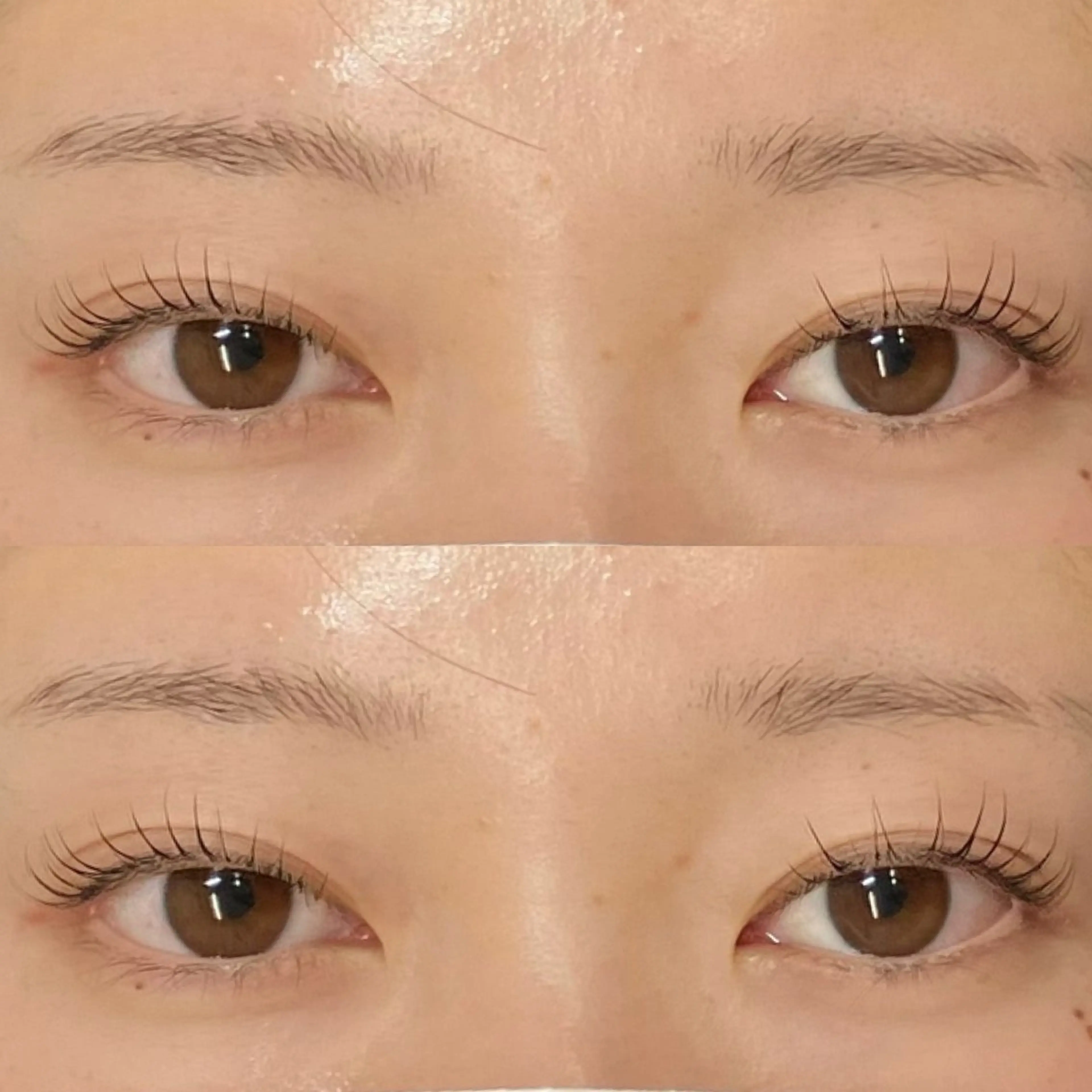 マツエク・マツパ まつげと眉毛のお店Sakura Lash【サクララッシュ】所属・【ダメージケア特化】 🌸 サクララッシュの眉毛・アイブロウイメージ