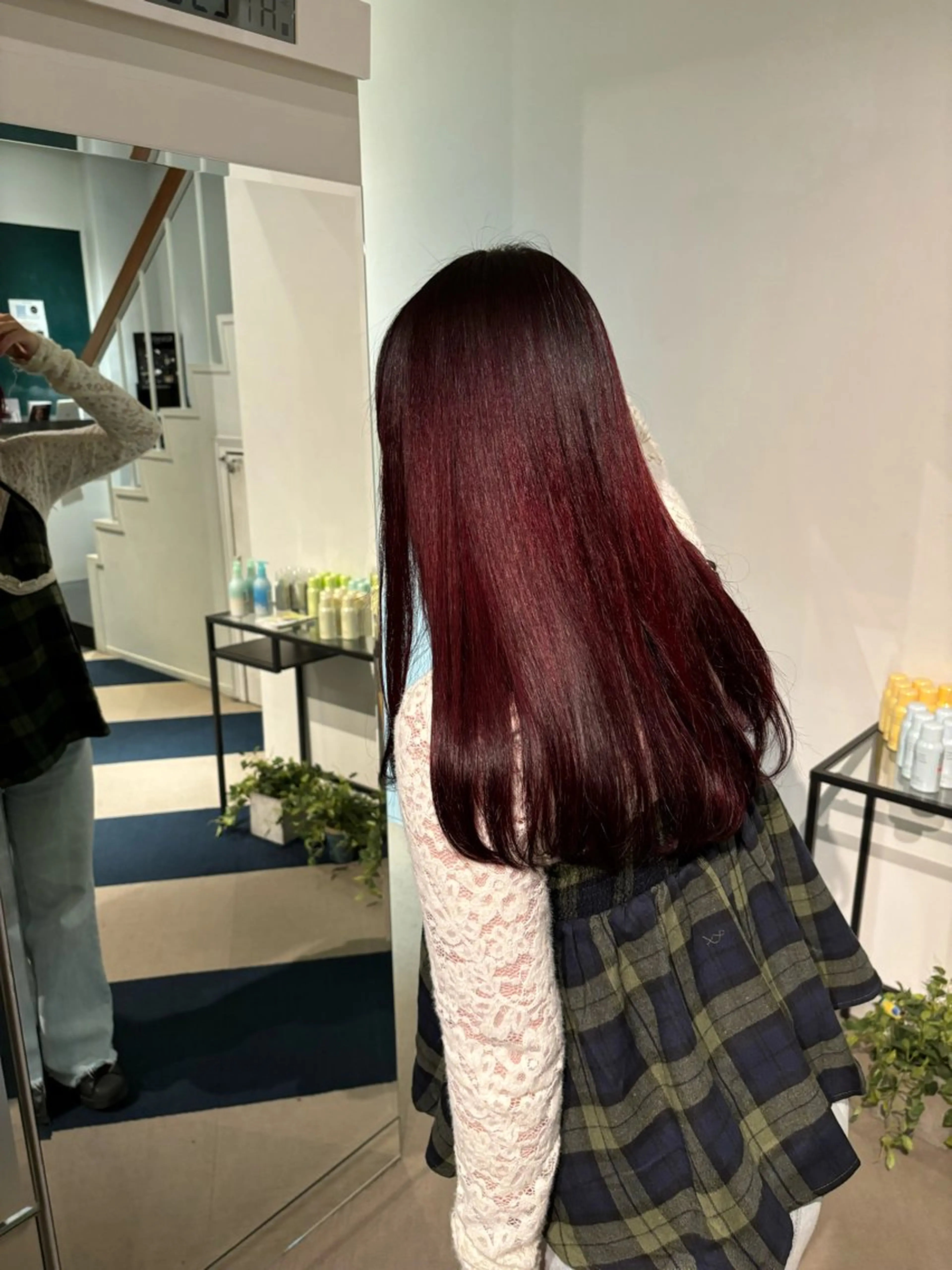 ワンカラーの写真