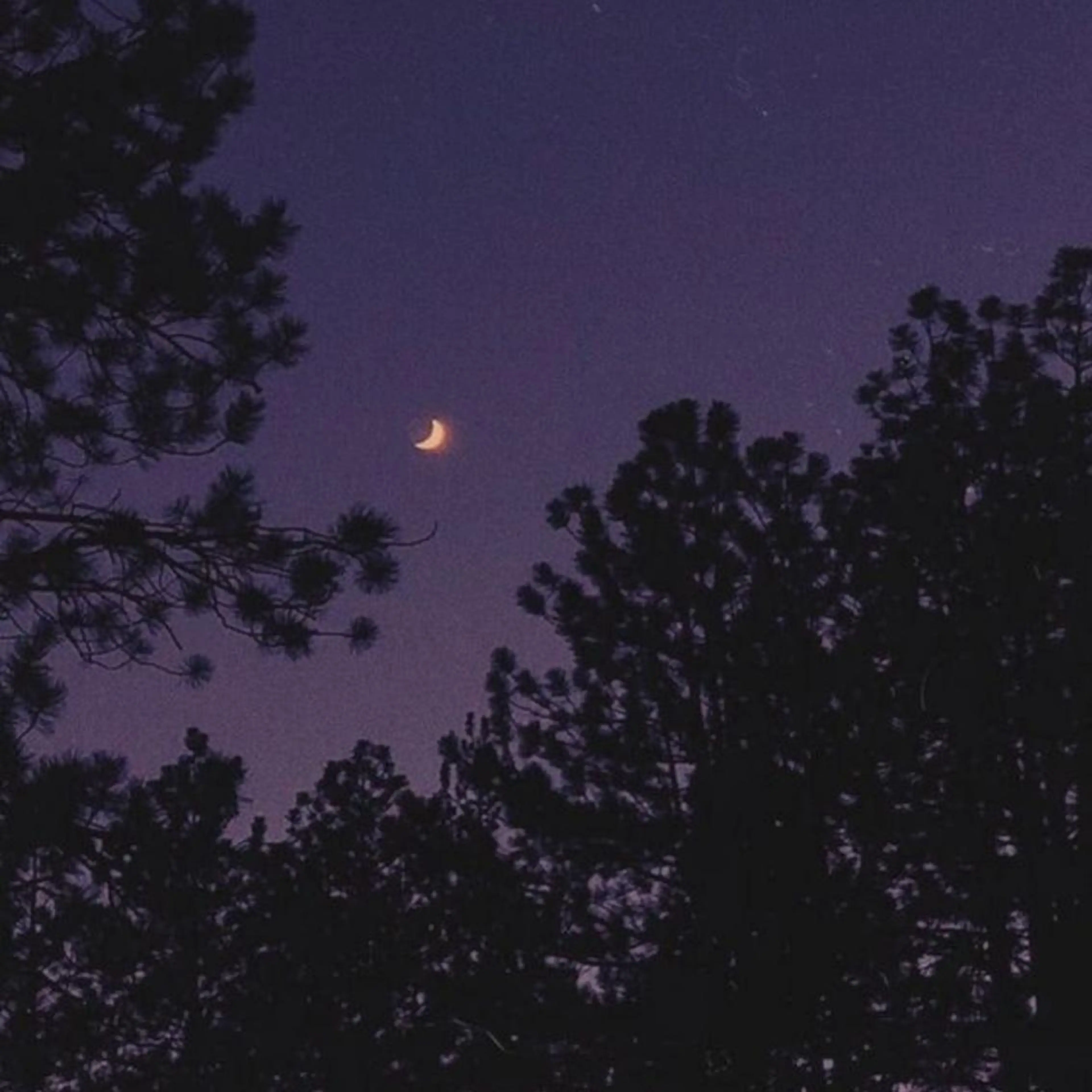 マツエク・マツパ マツパ yuki⟡.· freelanceのマツエク・マツパデザイン