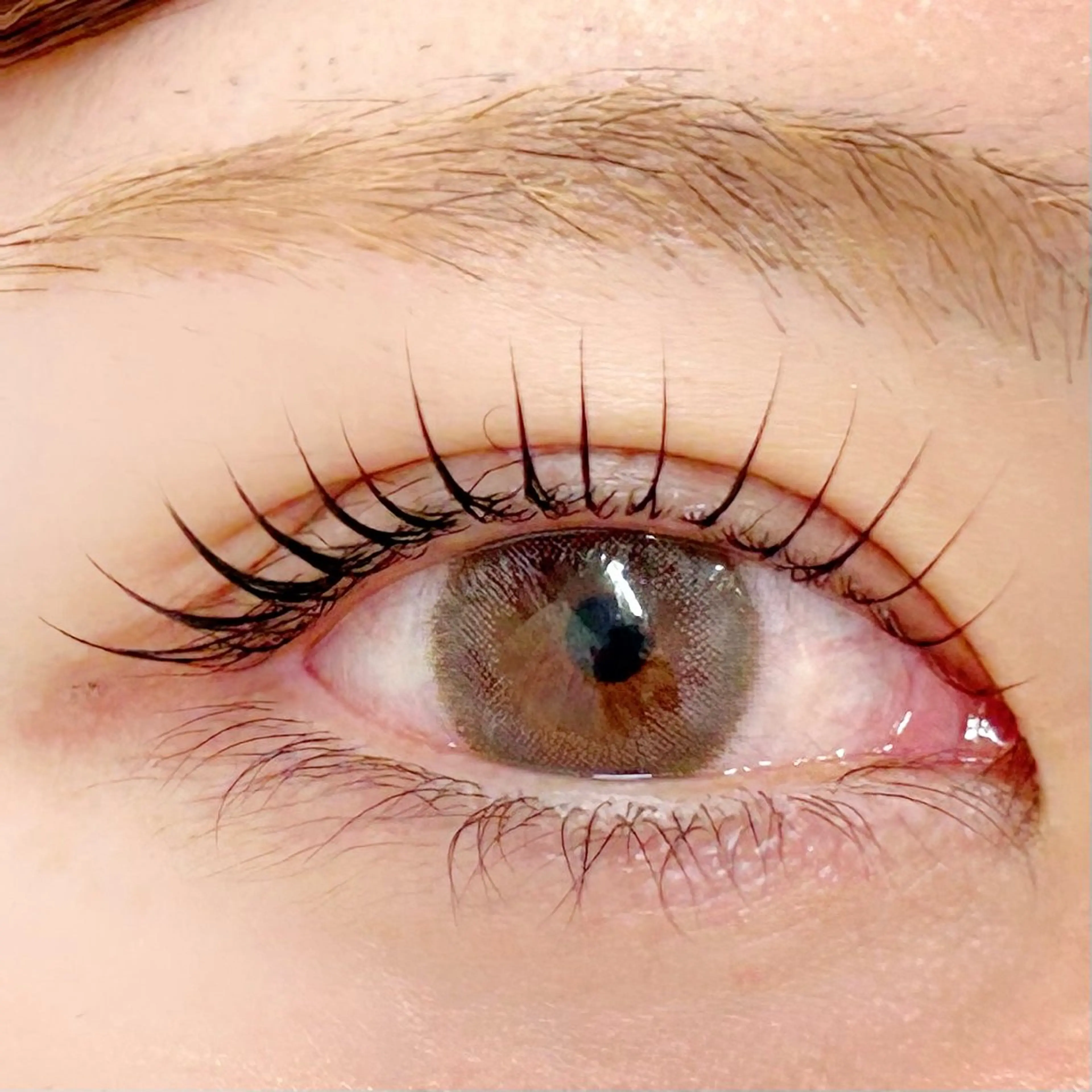 マツエク・マツパ パリジェンヌラッシュリフト 一重×まつ毛パーマ BellFlower Aki（眉・まつげ）のマツエク・マツパデザイン