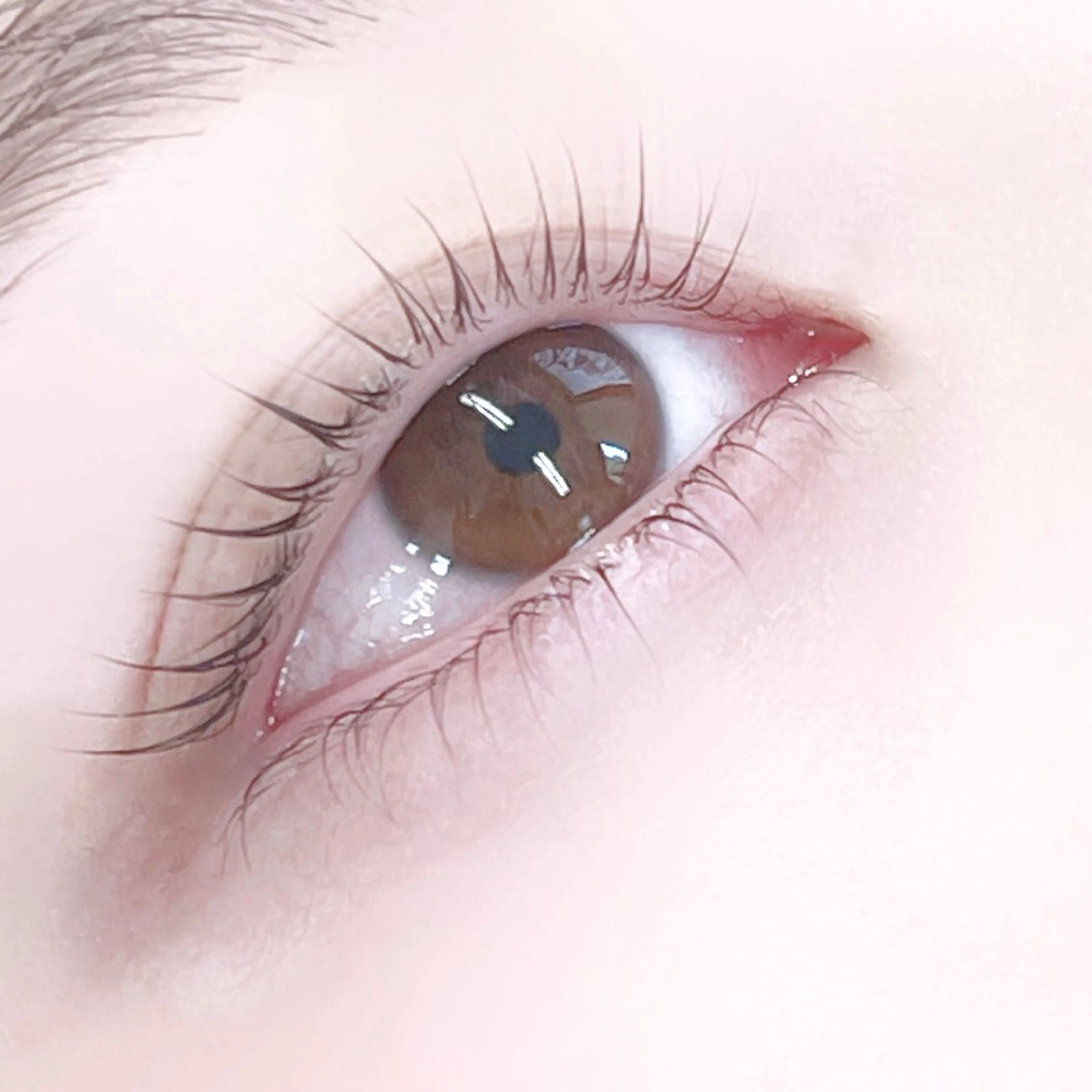 マツエク・マツパ R🌹 ⁺⊹˚.のマツエク・マツパデザイン