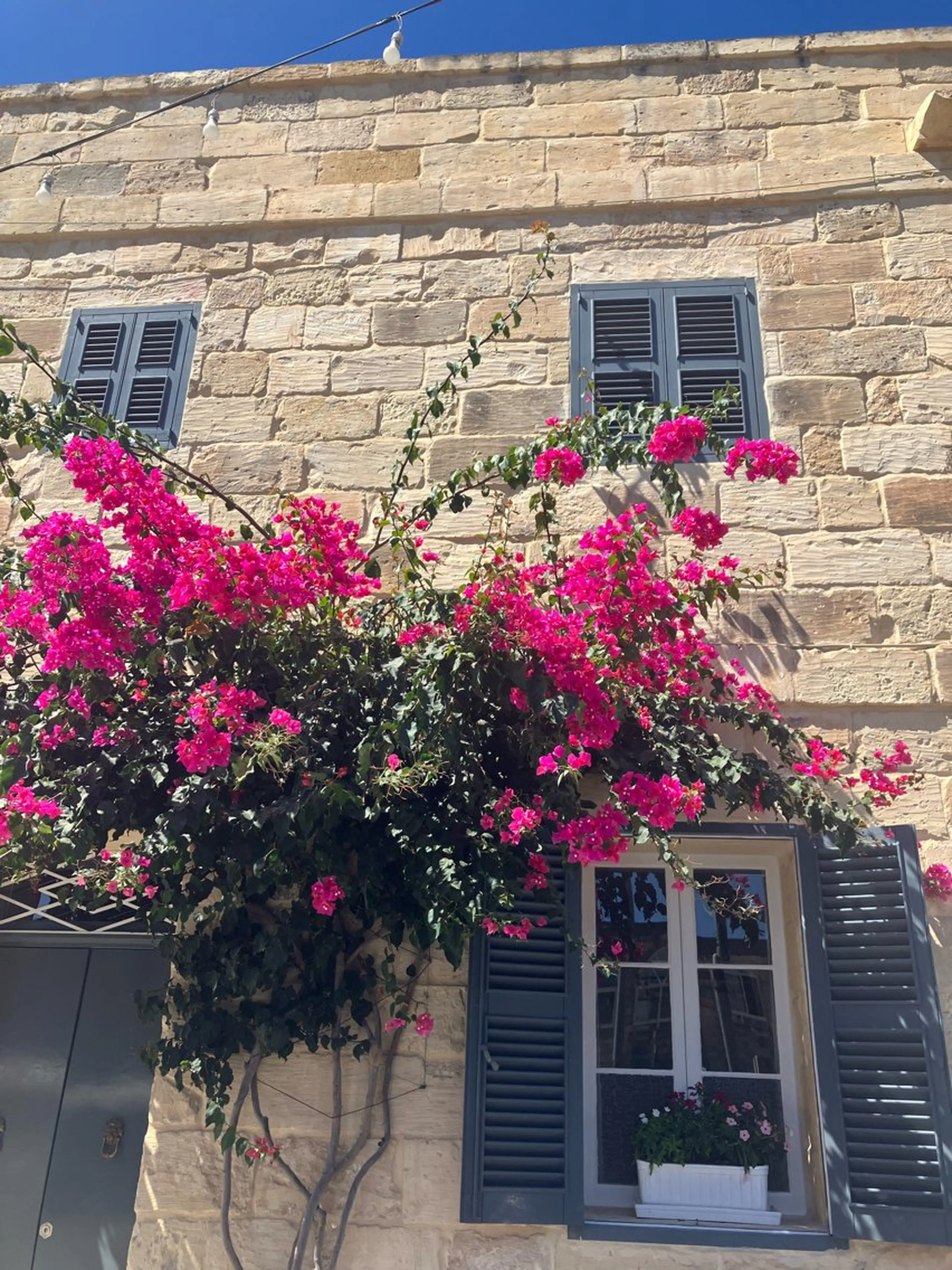 ecarg表参道店 KARIN🌷🫧のマツエク・マツパデザイン