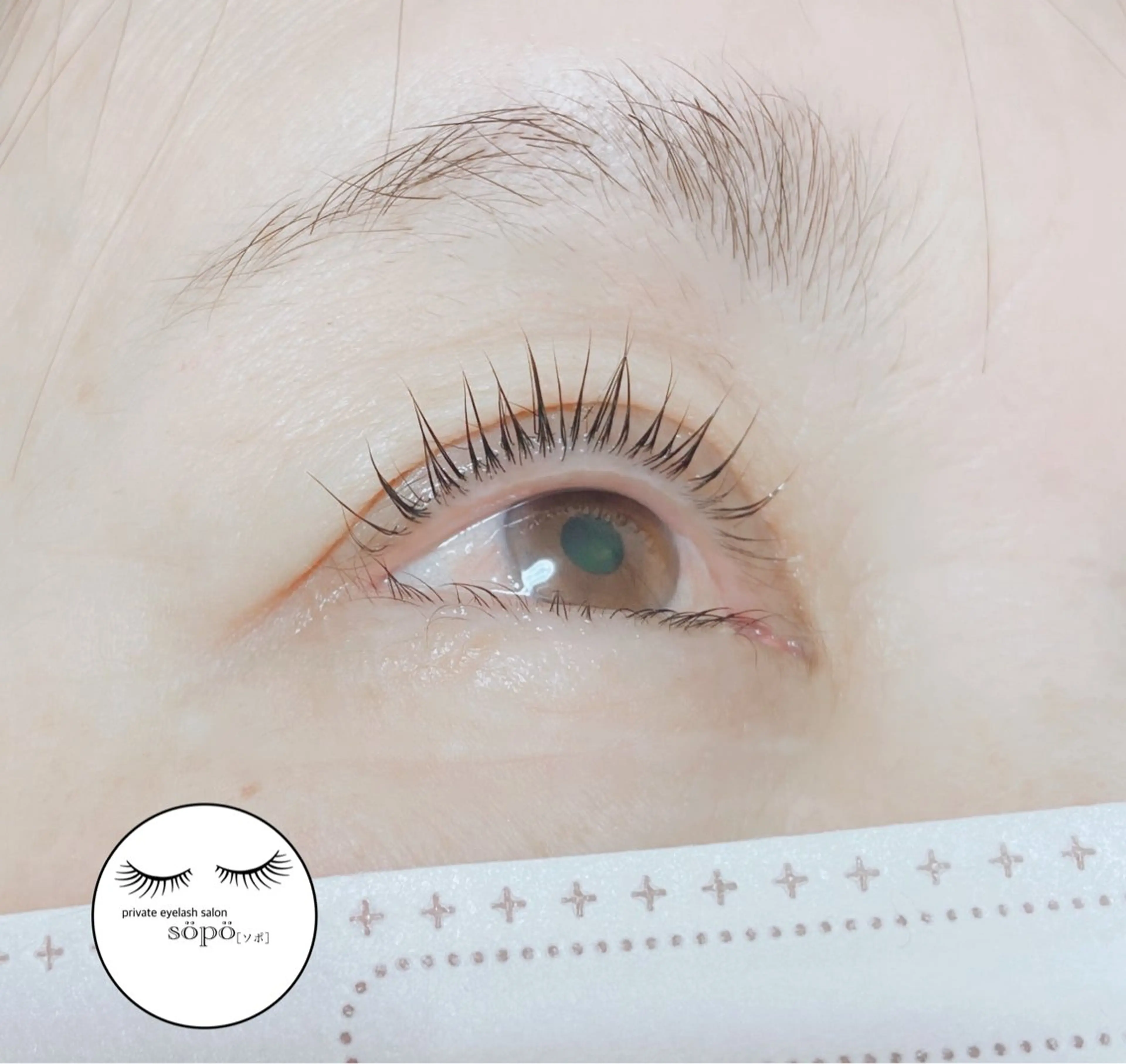 マツエク・マツパ ケラチンラッシュリフト マツパ private　eyelash　salon　söpö所属・まつげサロン söpö  ソポのマツエク・マツパデザイン