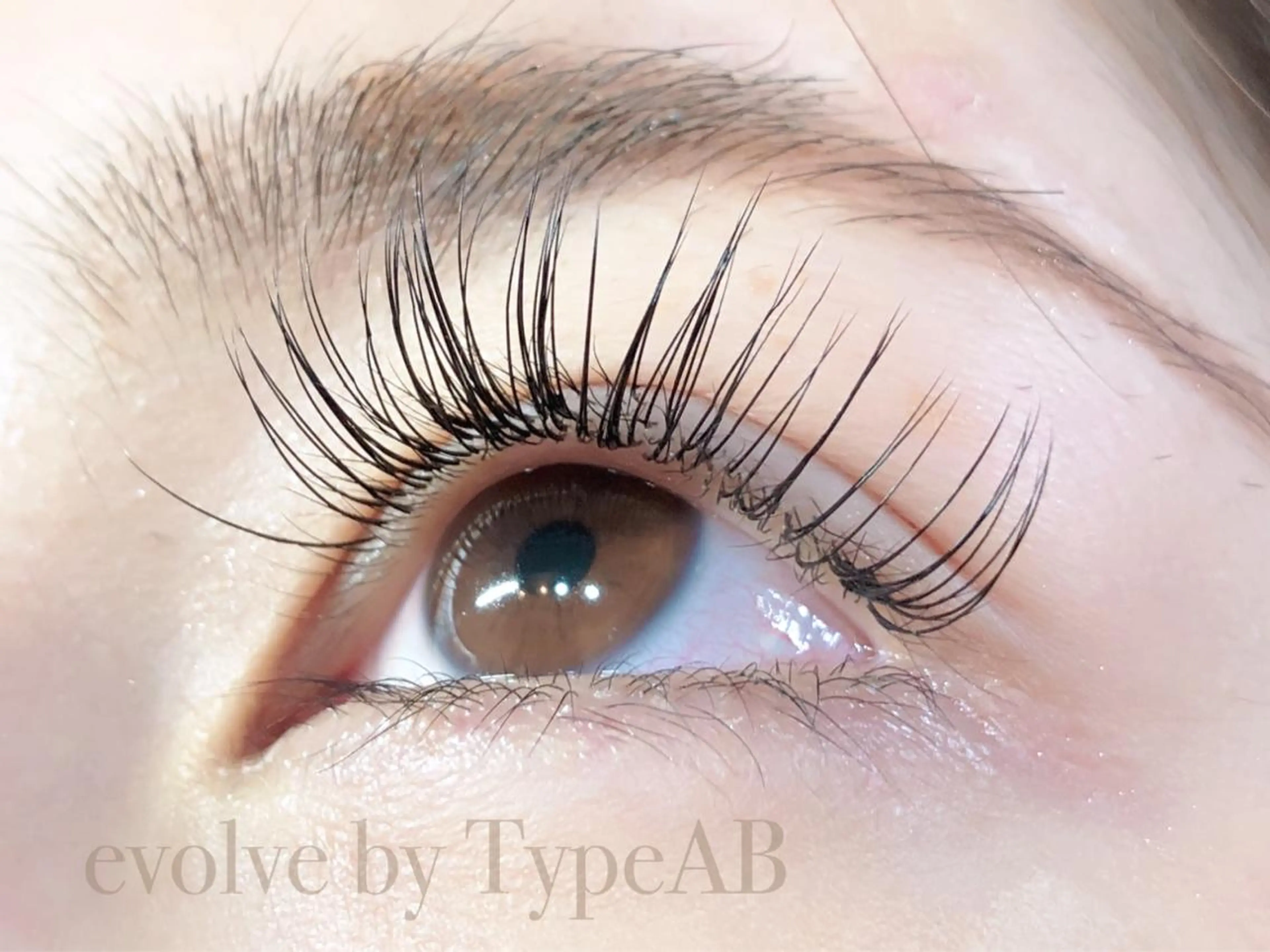 マツエク・マツパ Cカール evolve by TypeAB所属・evolve  by TypeABのマツエク・マツパデザイン