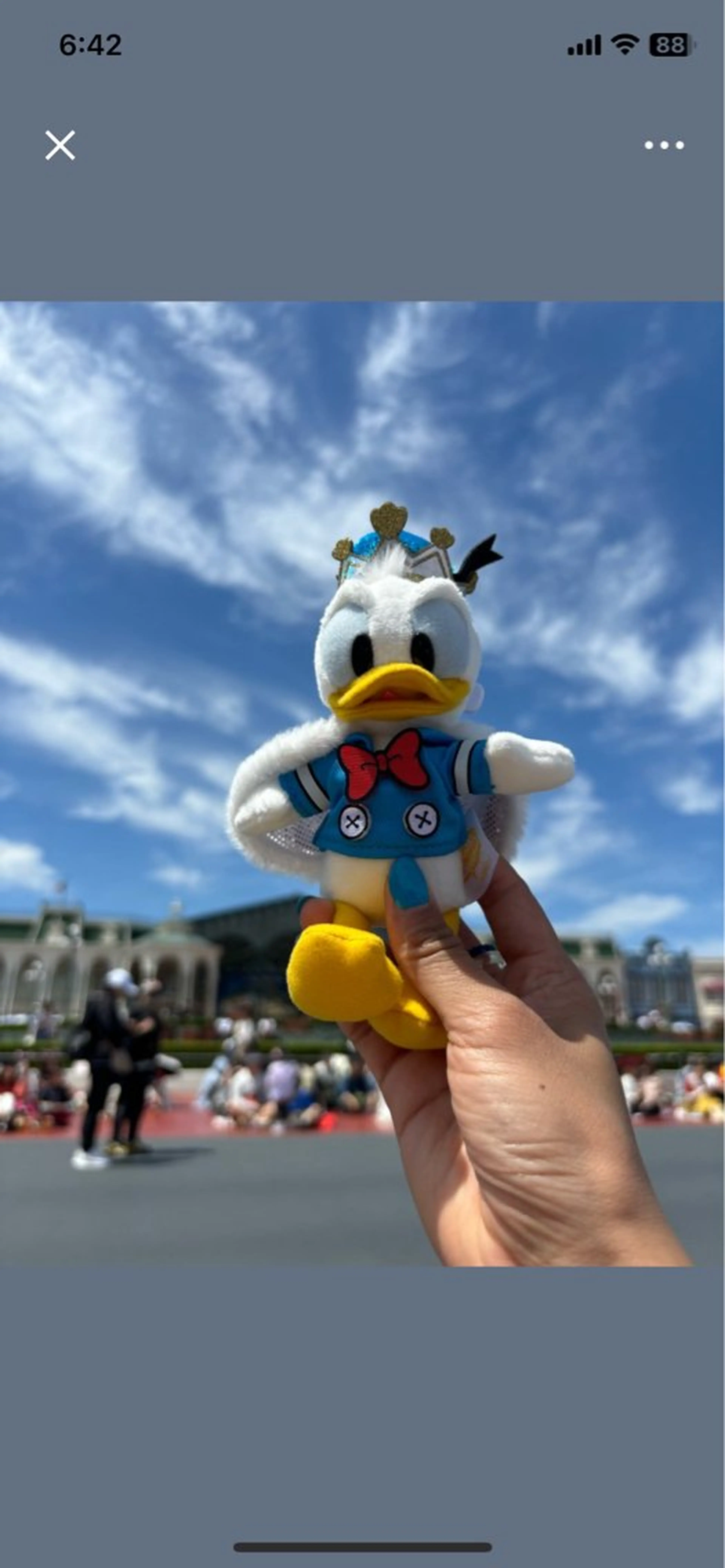 ネイル ハンドネイル 🌿Charme🌿 MAIのネイルデザイン