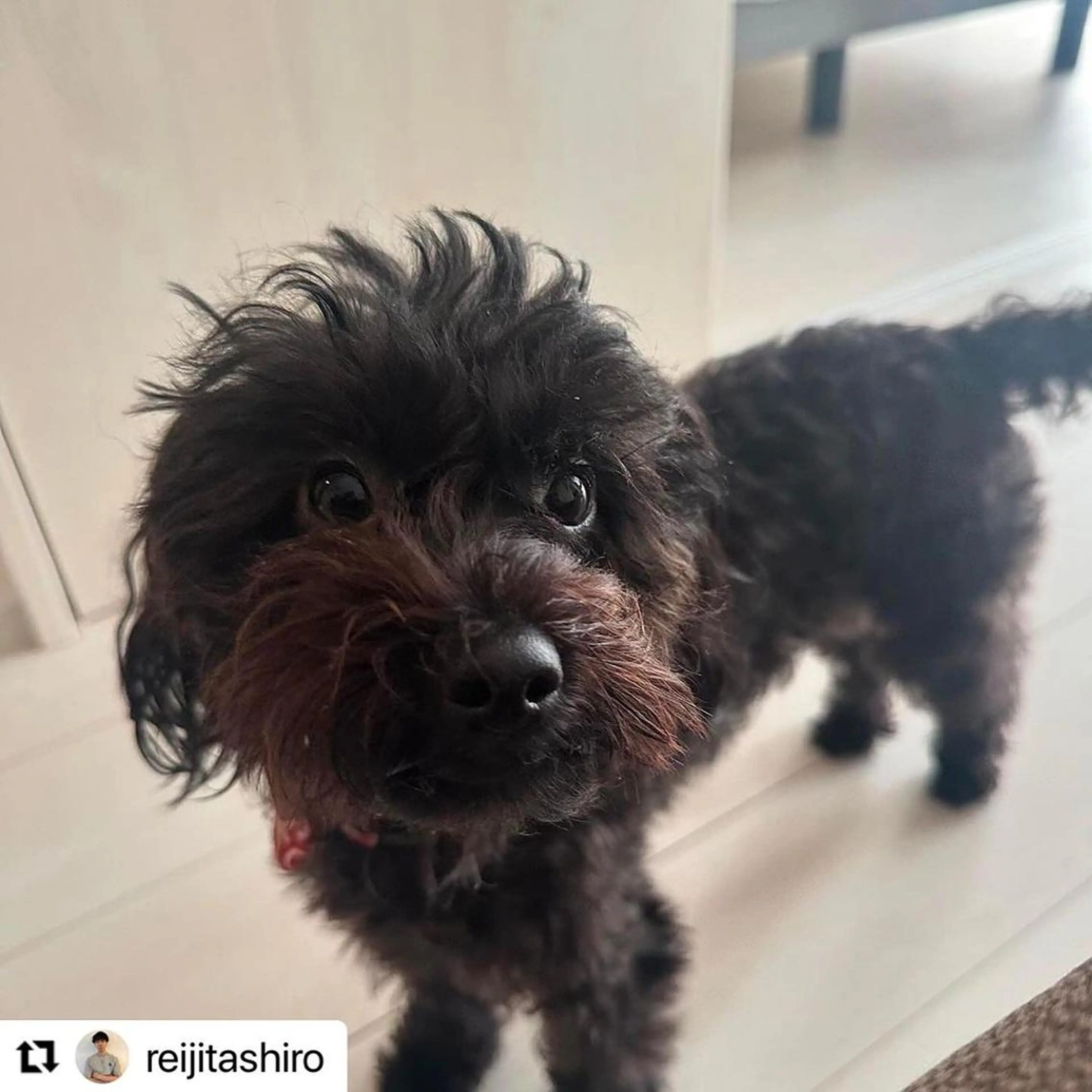 🩷Eny terrace🩷のヘアスタイル