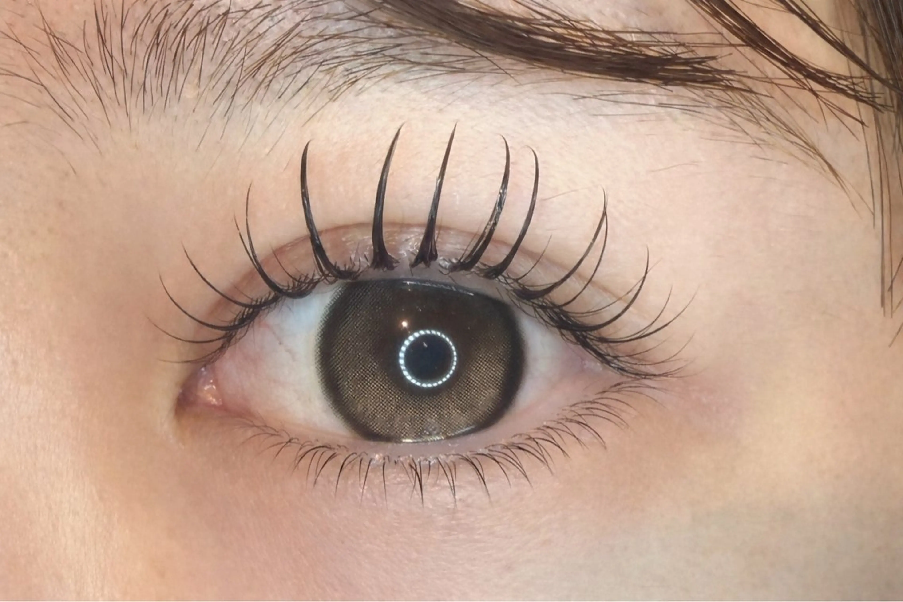 🦋先着　１名　様限定🦋エクステ下がる民、これ一択です🌟 &Healthy(アンドヘルシー)　口コミ割の写真