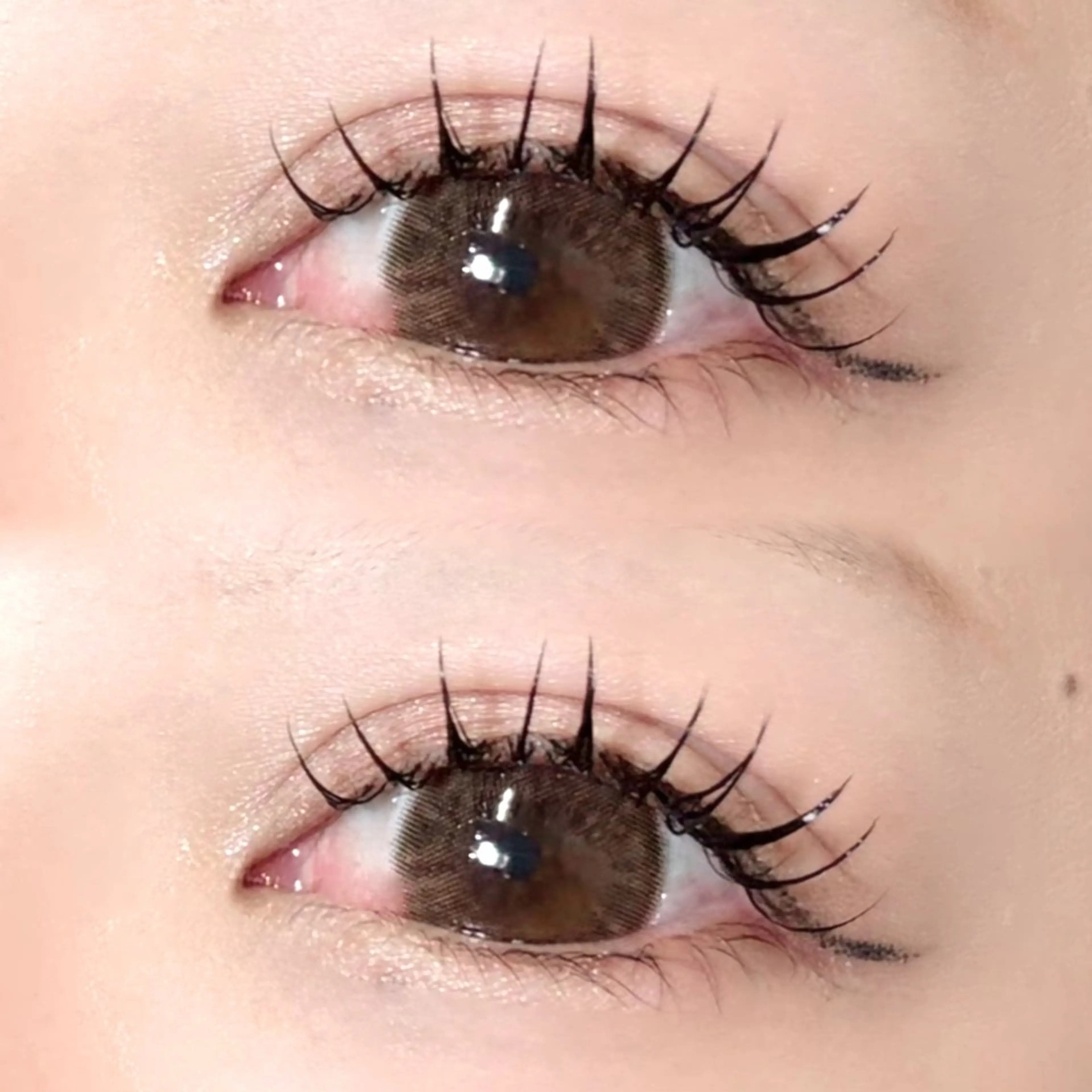 バインドロック80束🤍【12/29まで】《オフなし🈚️》の写真