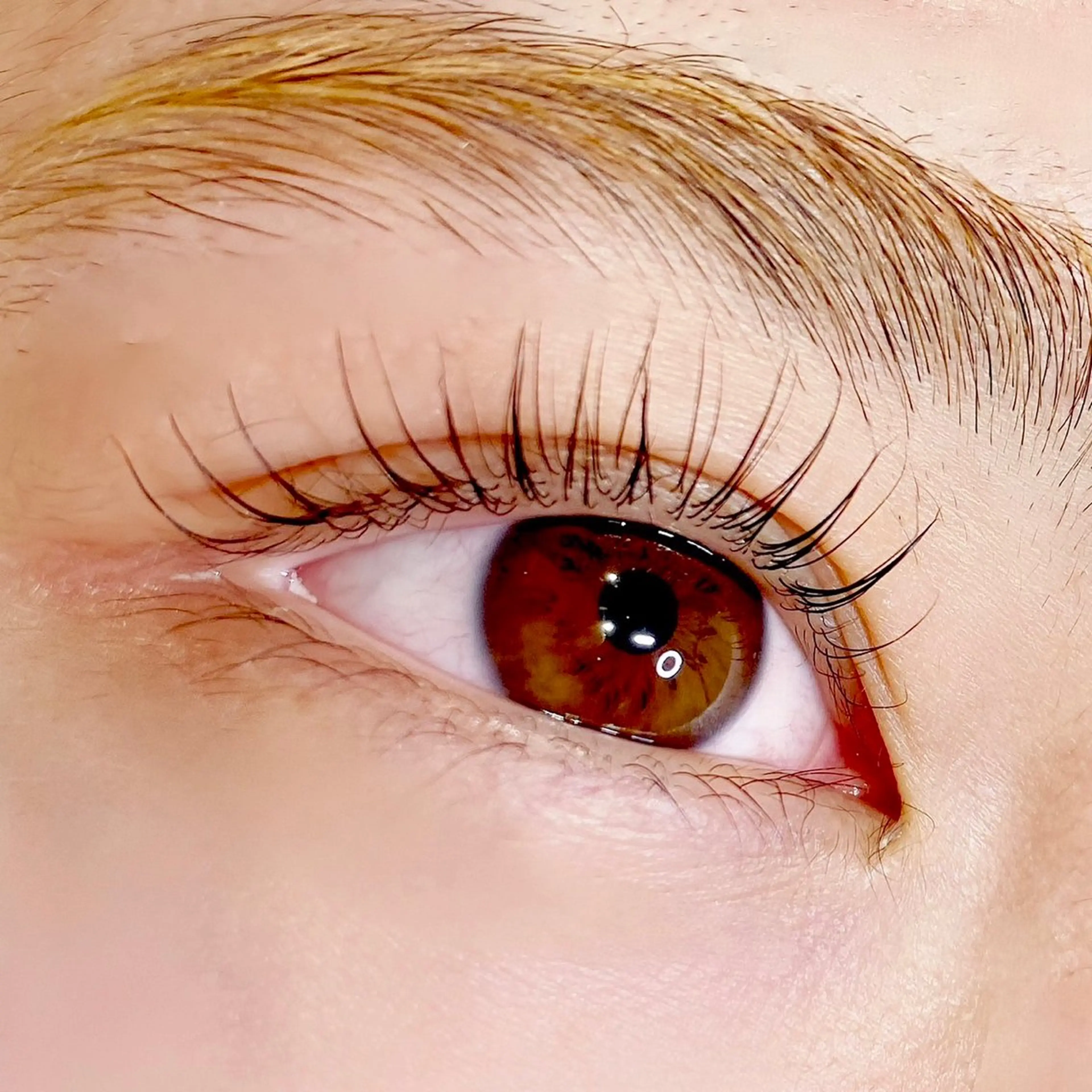 ⚫︎ミニモ限定⚫︎パリジェンヌ・モデル様募集⚫︎SNS用撮影掲載OKな方/トリートメント付き⚠️現金のみ⚠️の写真