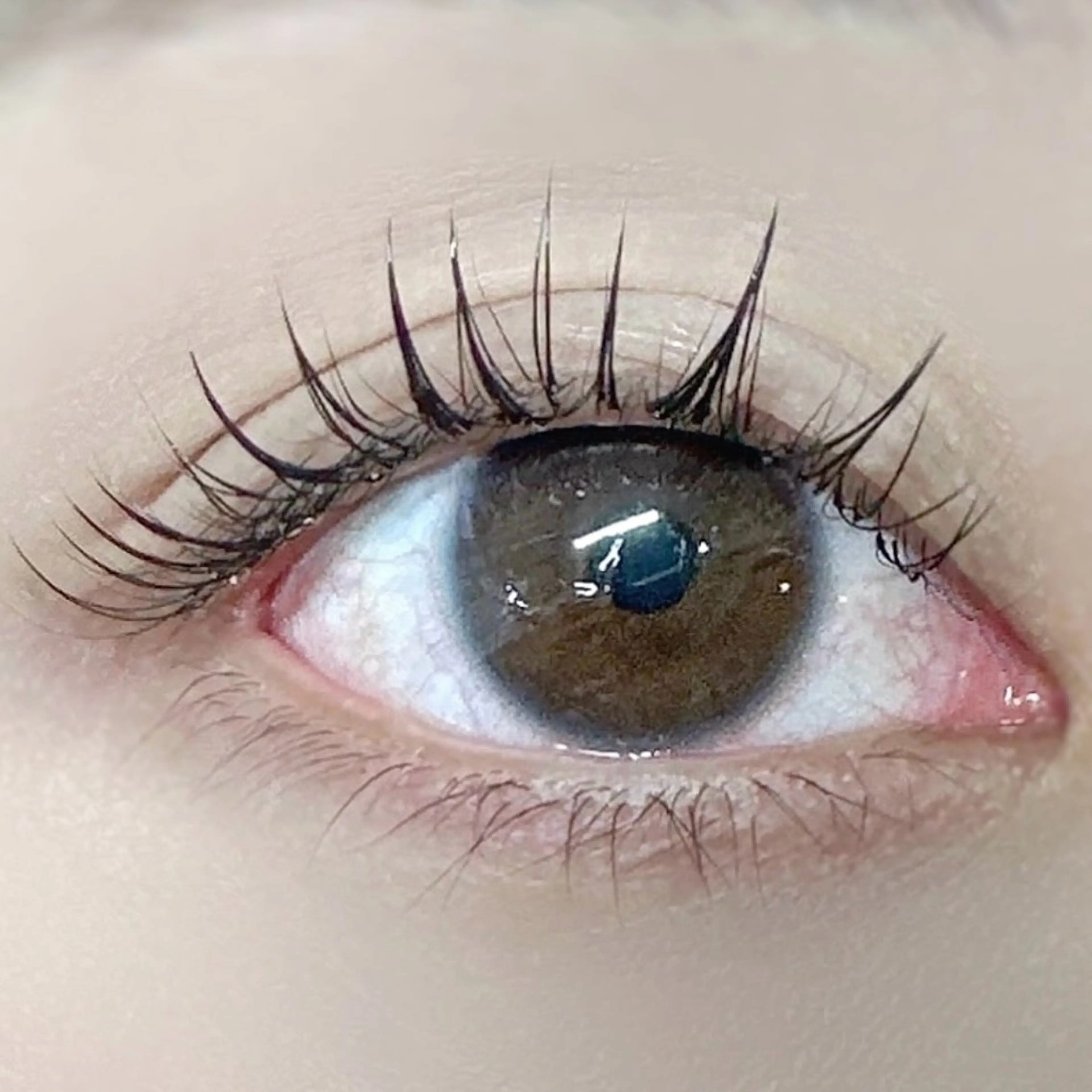 マツエク・マツパ Cカール フラットラッシュ マツエク マツエク専門店 cyunaのマツエク・マツパデザイン