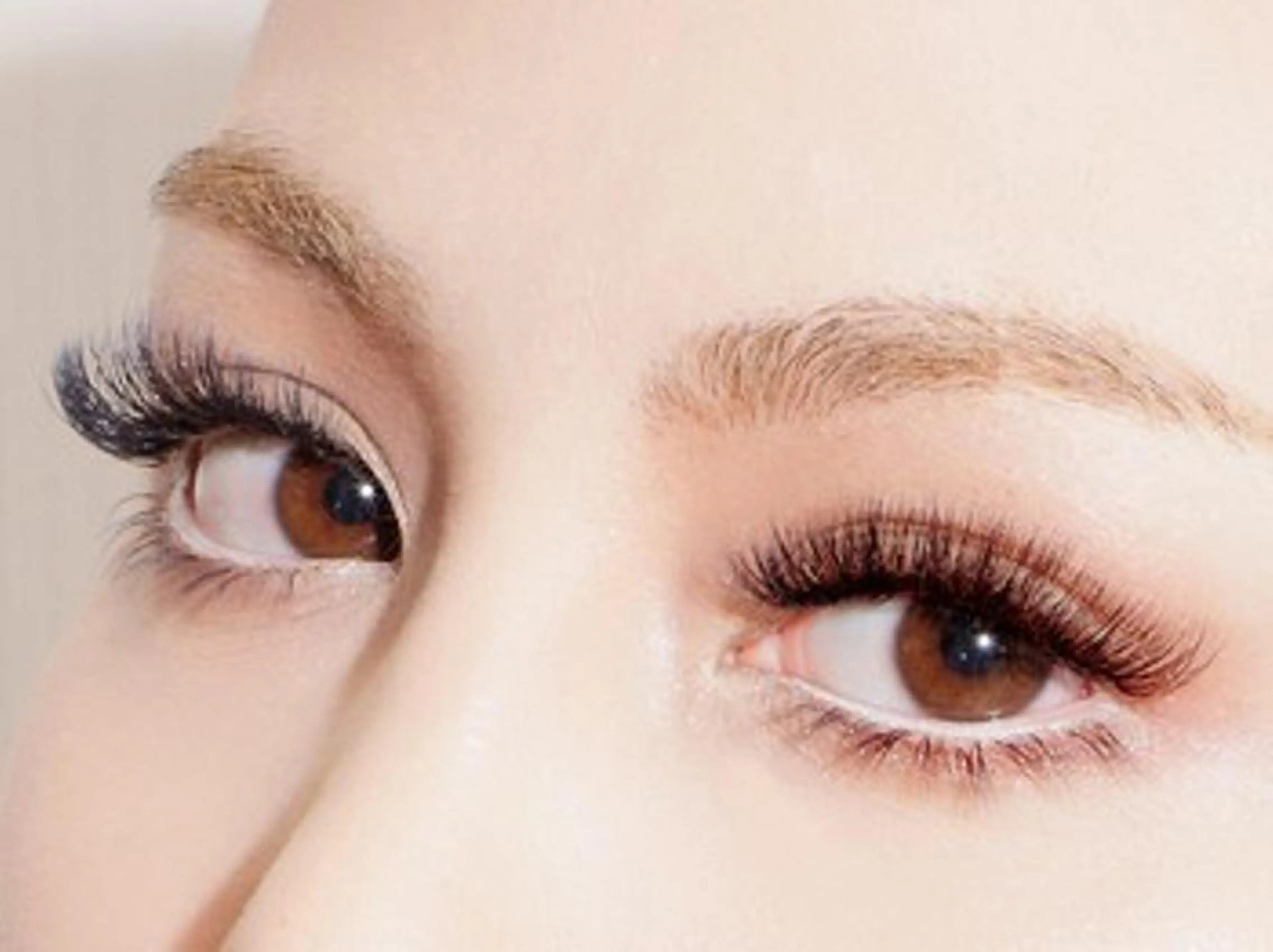 ハリウッドマツエク ！5Dボリュームラッシュ (約500本)100束  6000円ミスアイドール 高品質の写真