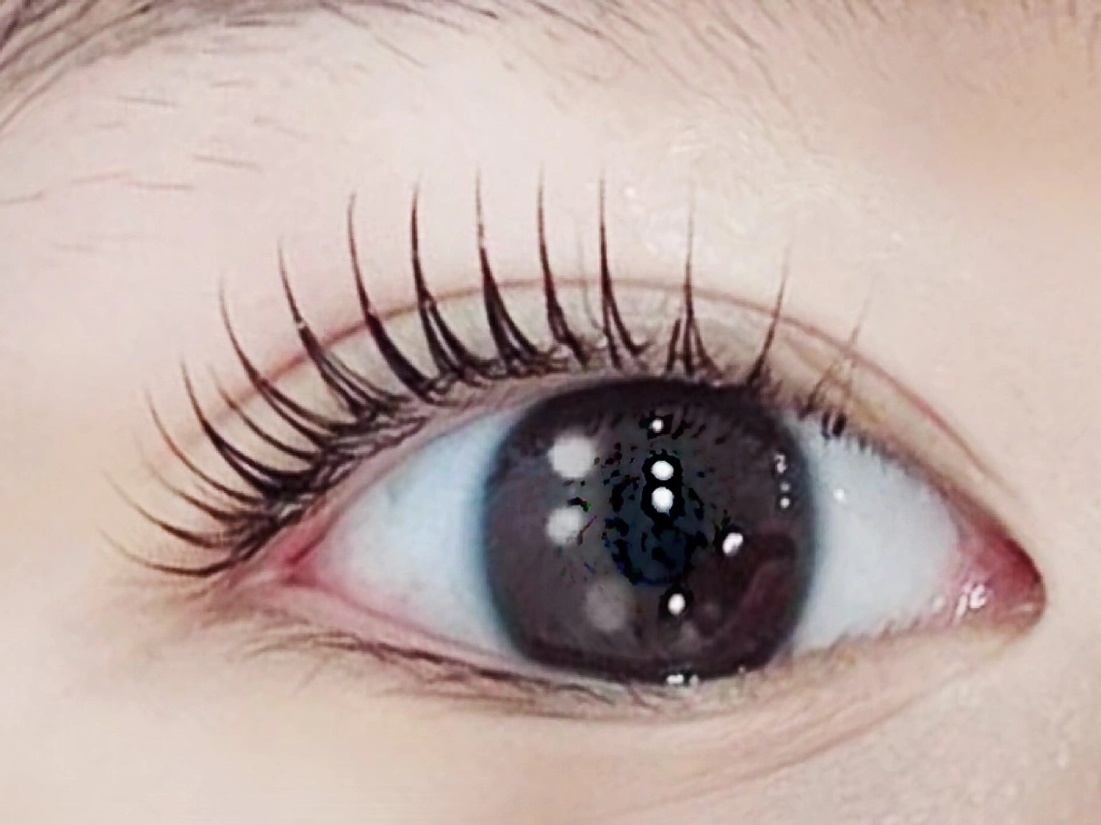 【人気No.1まつげパーマ】何度でも同価格♪ラッシュリフト＋ケラチントリートメント＋コーティング付【上のみ】の写真