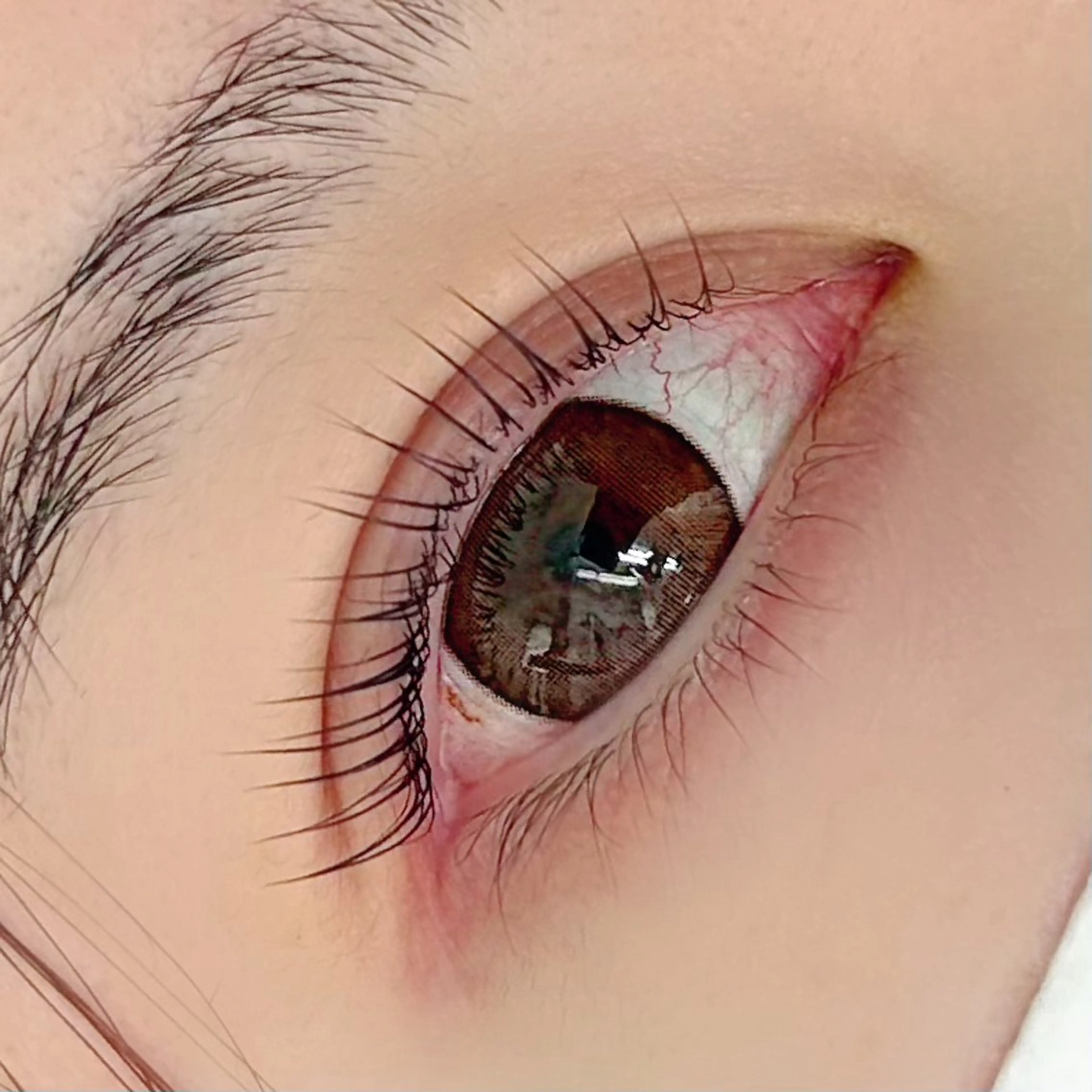 🫐パリジェンヌラッシュリフトの写真