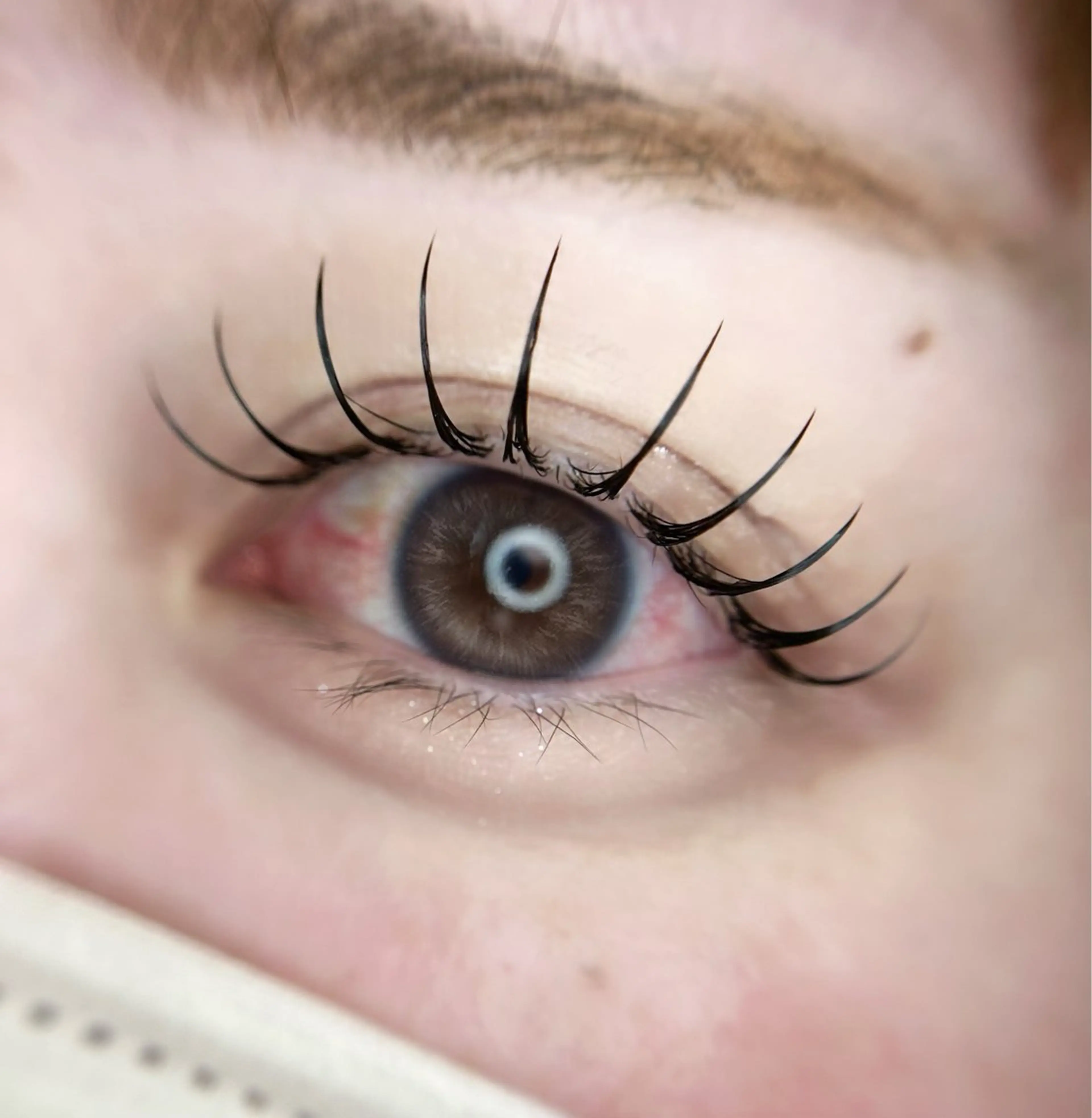 マツエク・マツパ 束感まつ毛 マツエク eyelist. mizuki🐈‍⬛の眉毛・アイブロウイメージ