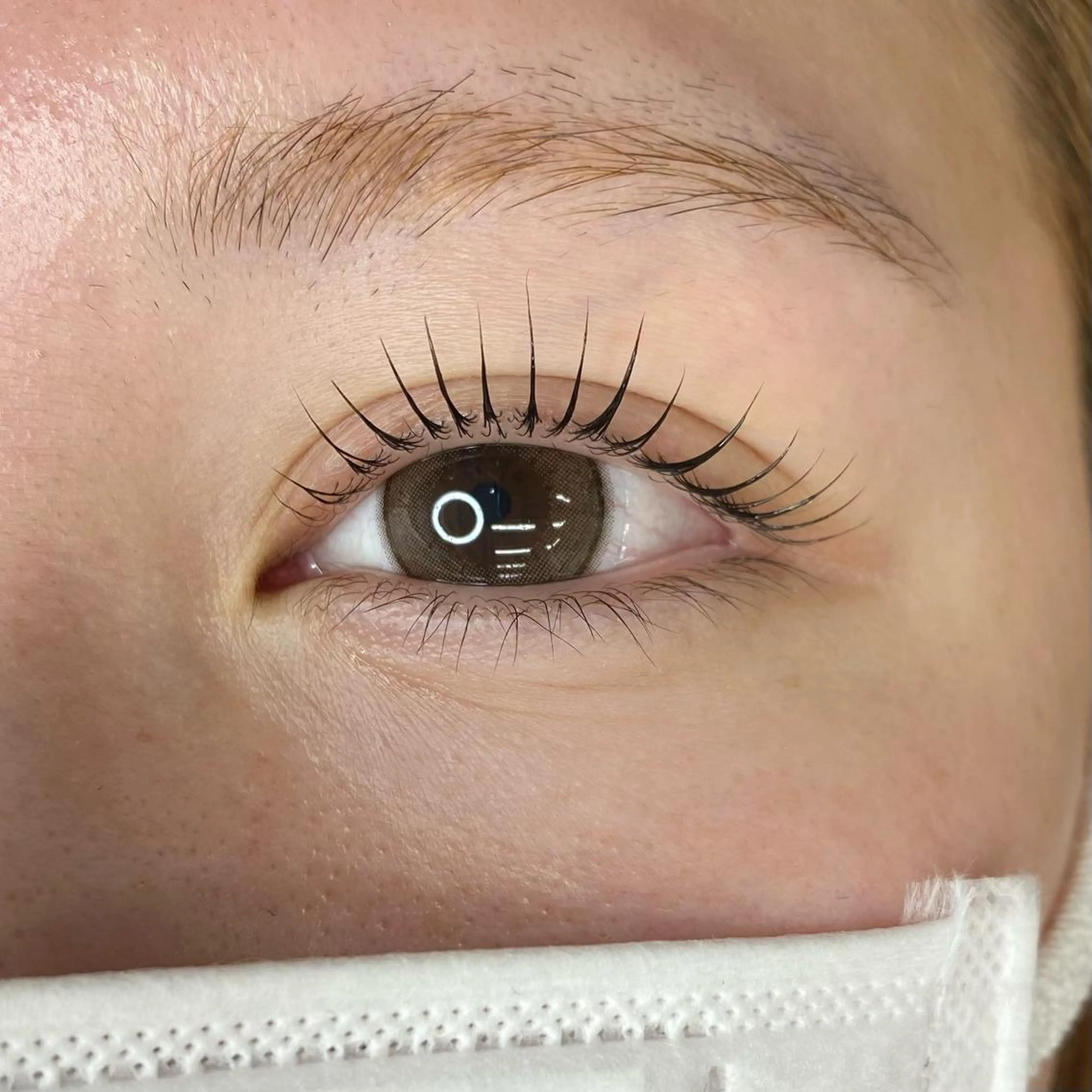 ＼雨の日限定クーポン☔️／ラッシュリフト(上)🌼ケラチントリートメント付きの写真