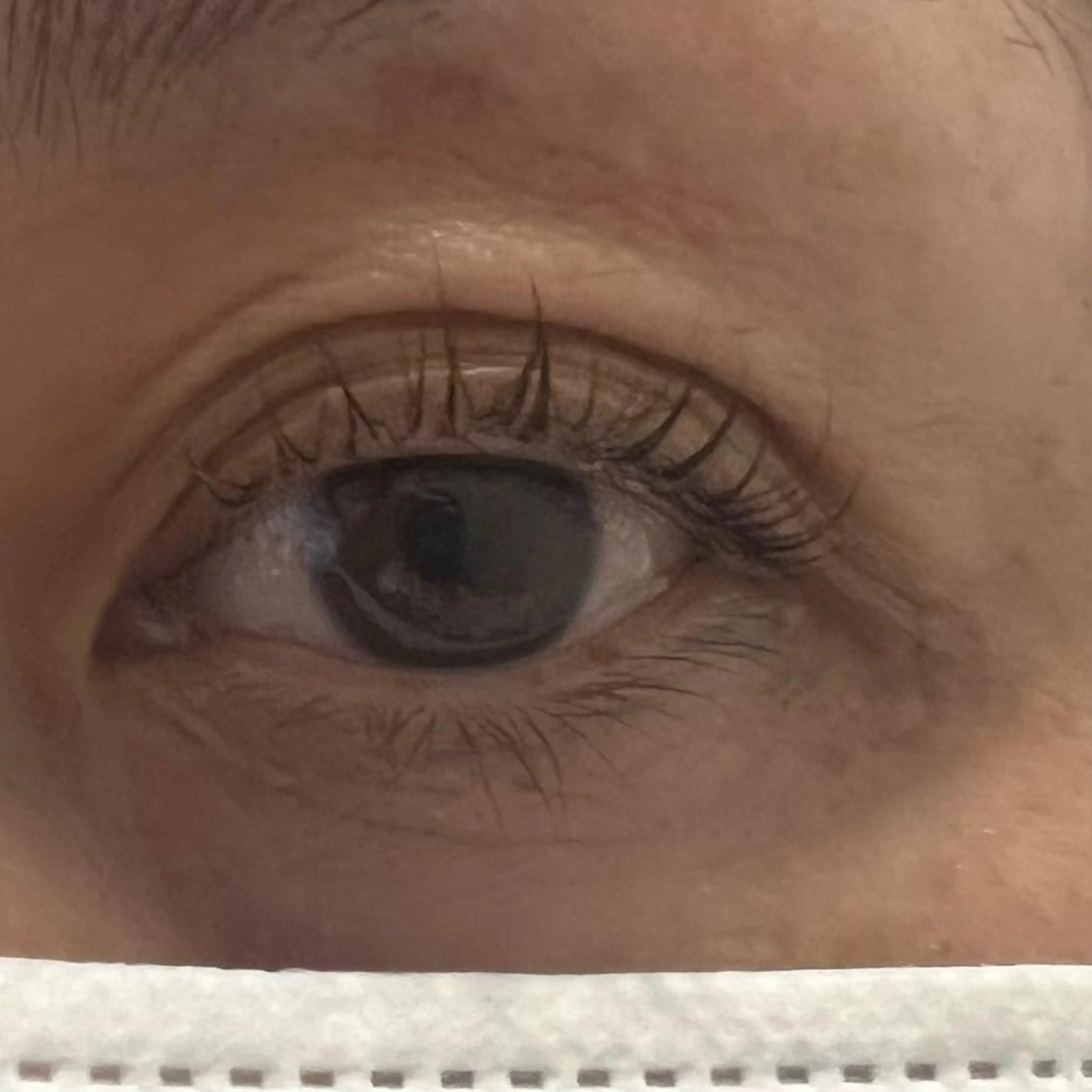 マツエク・マツパ miel中百舌鳥所属・miel yamaguchiの眉毛・アイブロウイメージ