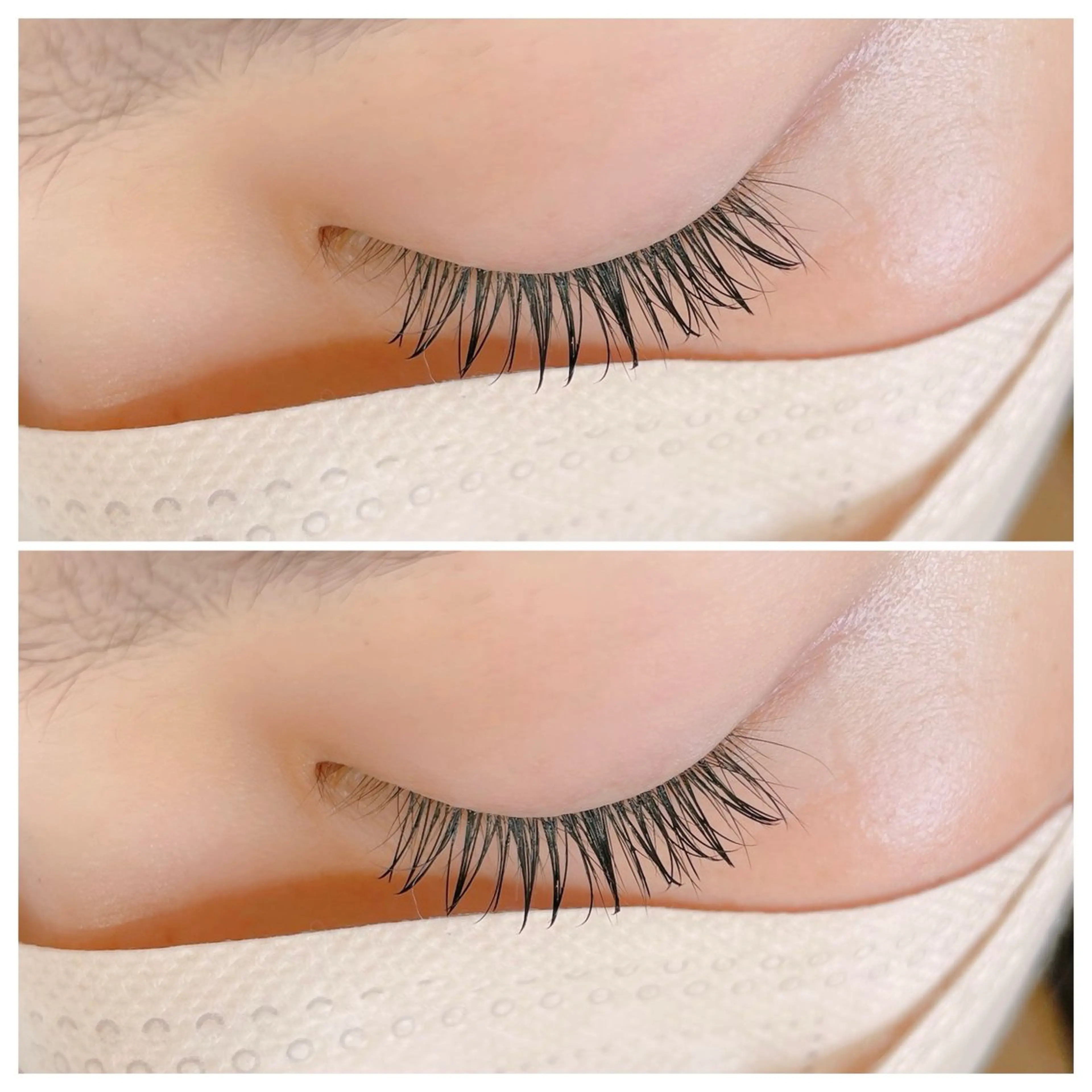 フラットマットラッシュ120本の写真