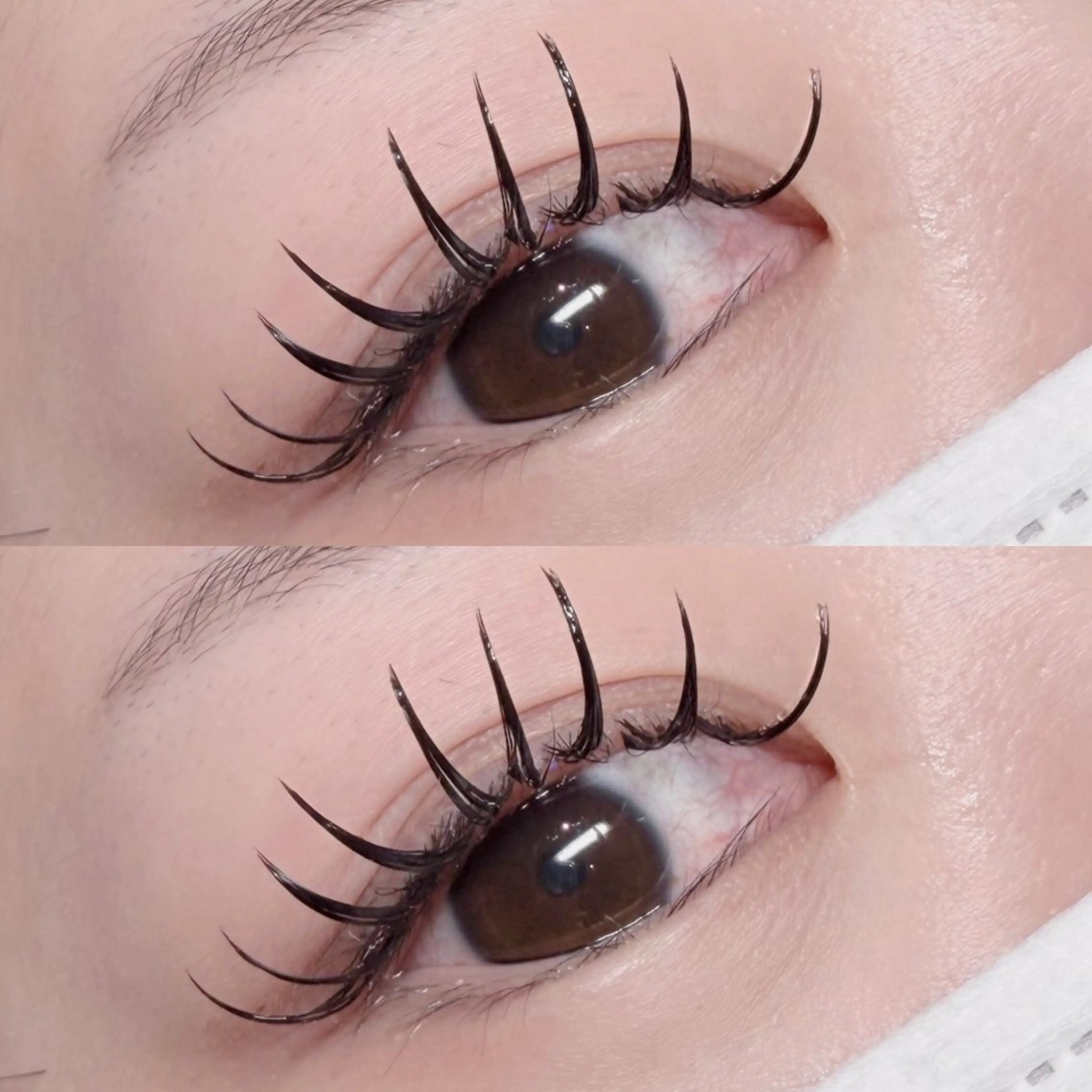 マツエク・マツパ マツエク mako. angelicaのマツエク・マツパデザイン