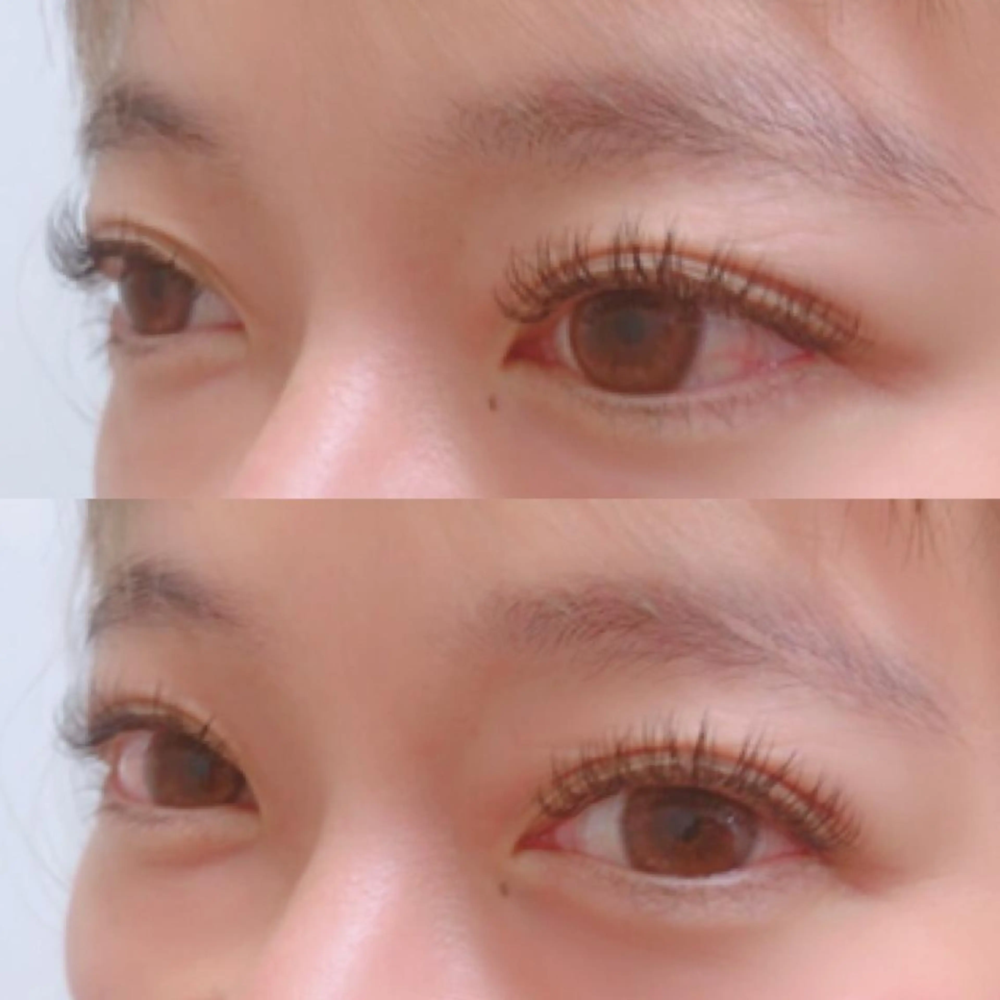 マツエク・マツパ キュート Dカール フラットラッシュ Little 北花田所属・Little 北花田 仲宗根のマツエク・マツパデザイン