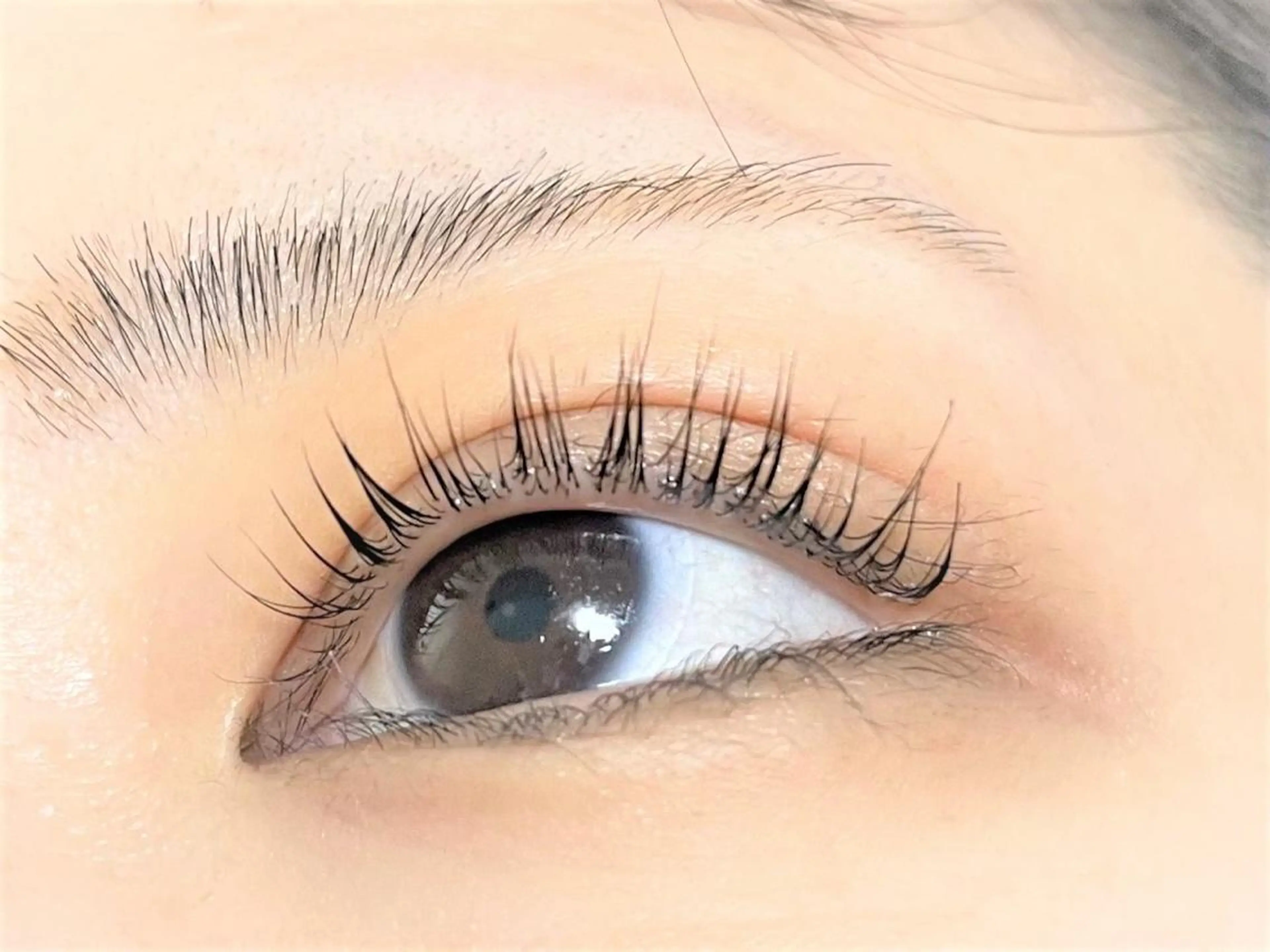 マツエク・マツパ パリジェンヌラッシュリフト Nail＆Eyelash大阪梅田 MAXKELLY所属・マックスケリー 荒冷のマツエク・マツパデザイン