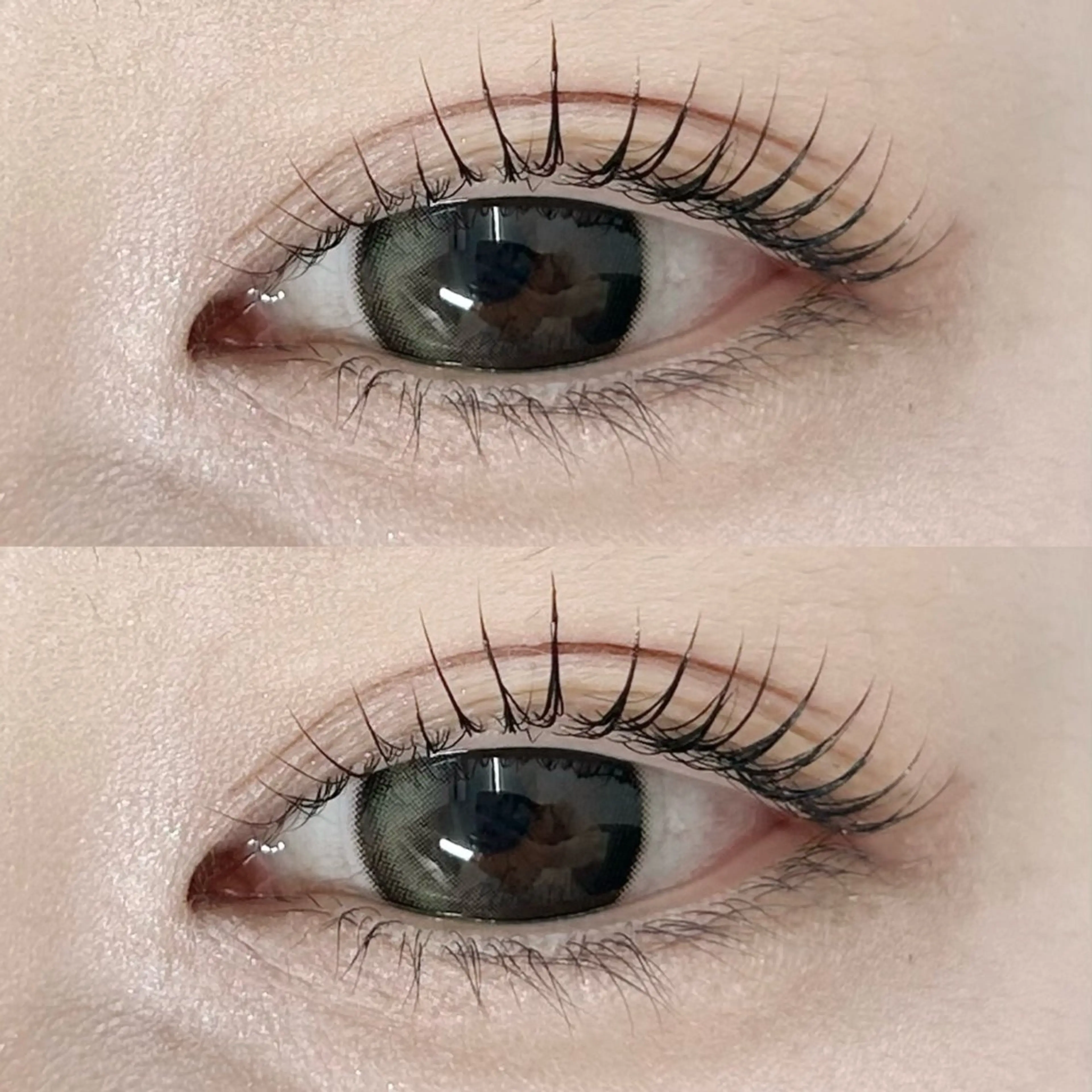 【リピーター様限定🎀】韓国風束感まつげパーマ＋アイシャンプー＋ダメージ補強トリートメントの写真