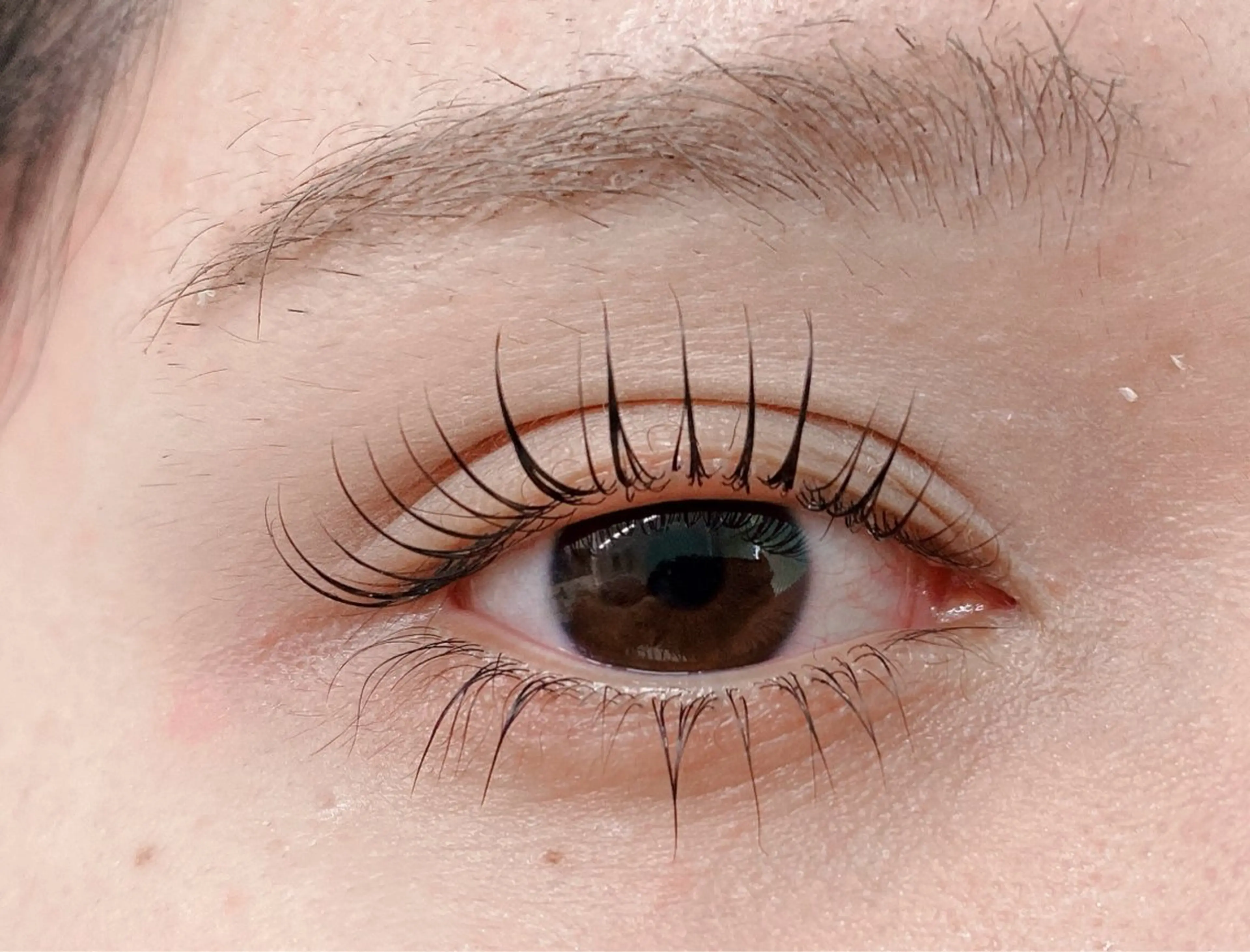 ✴︎上下まつげパーマ✴︎ ❤️コーティング&美容液付き🌿✨の写真