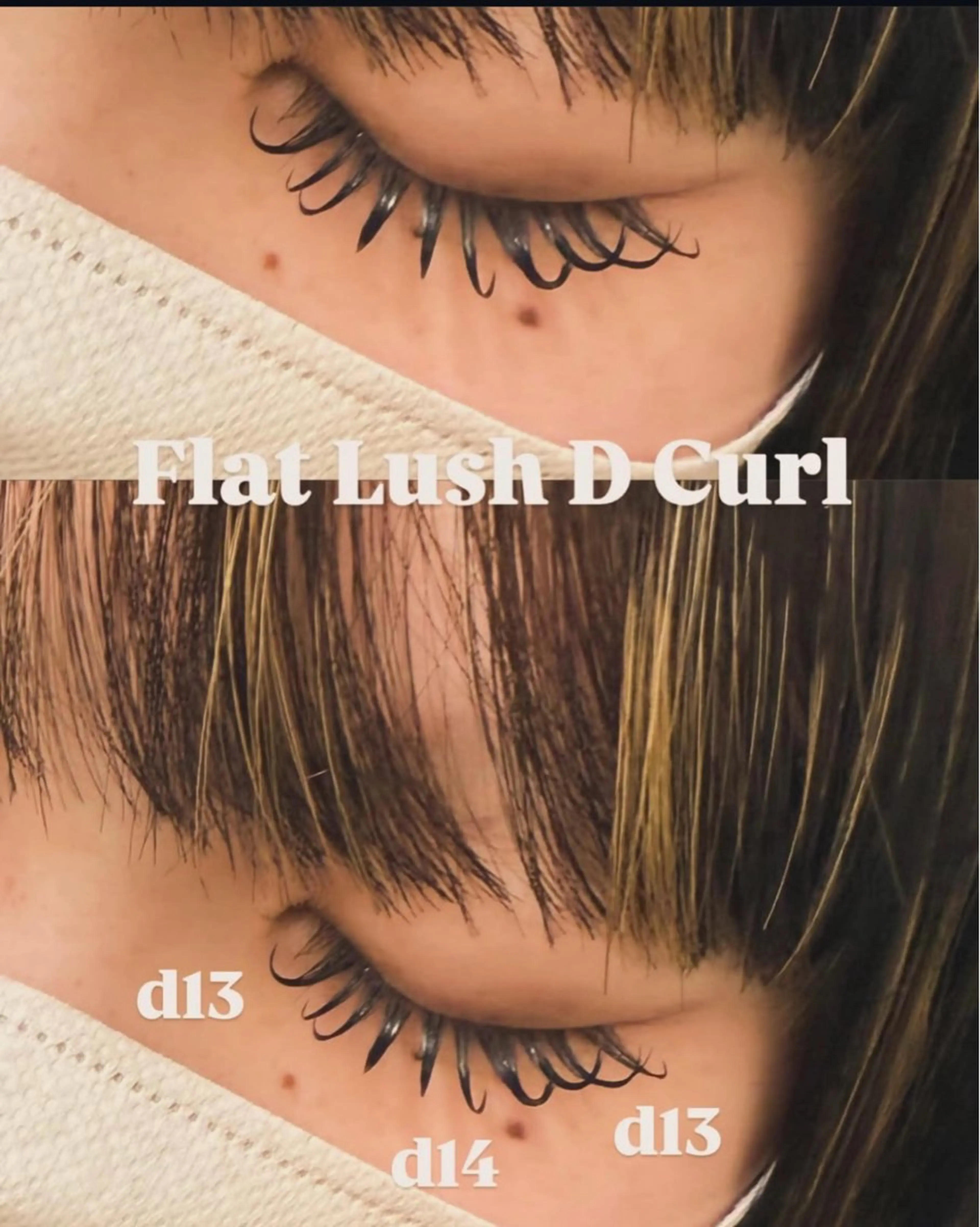 フラットラッシュ120本の写真