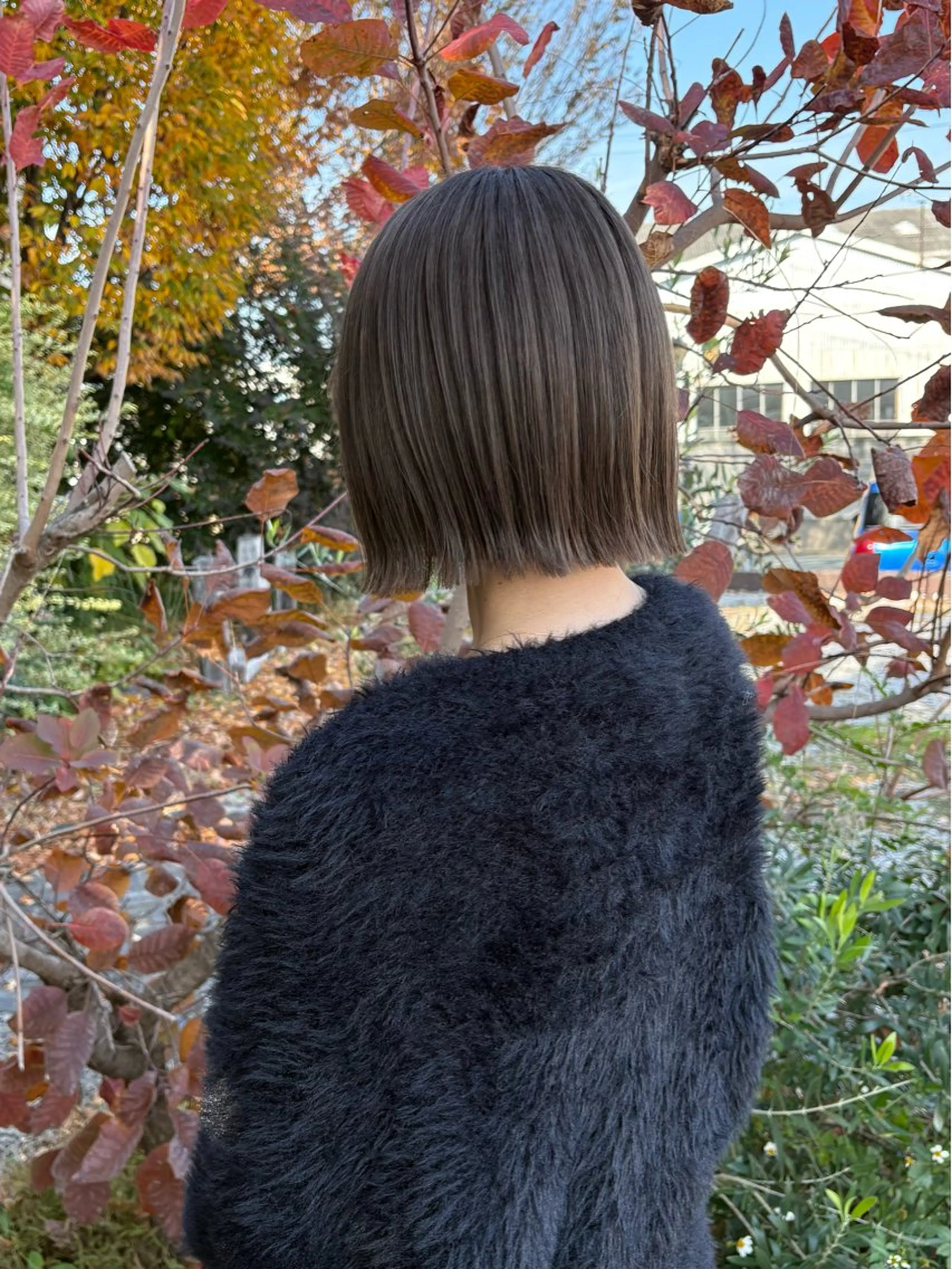 ショート カラー カット ヘアカラー トリートメント ルプラボウ  藤原 千紗のヘアスタイル