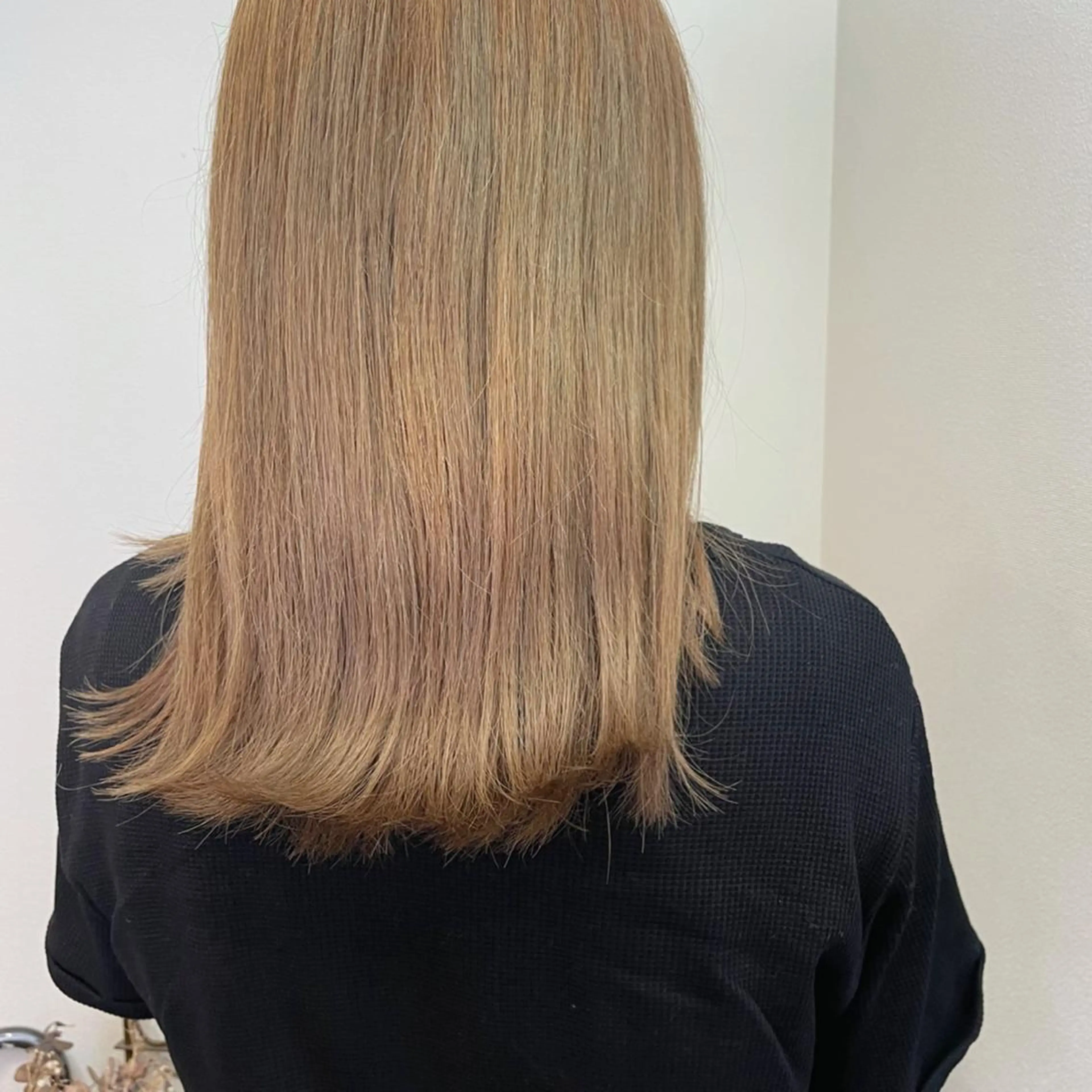 セミロング カット ヘアカラー ボブウルフ/ボブ Satsuki【名駅のヘアスタイル