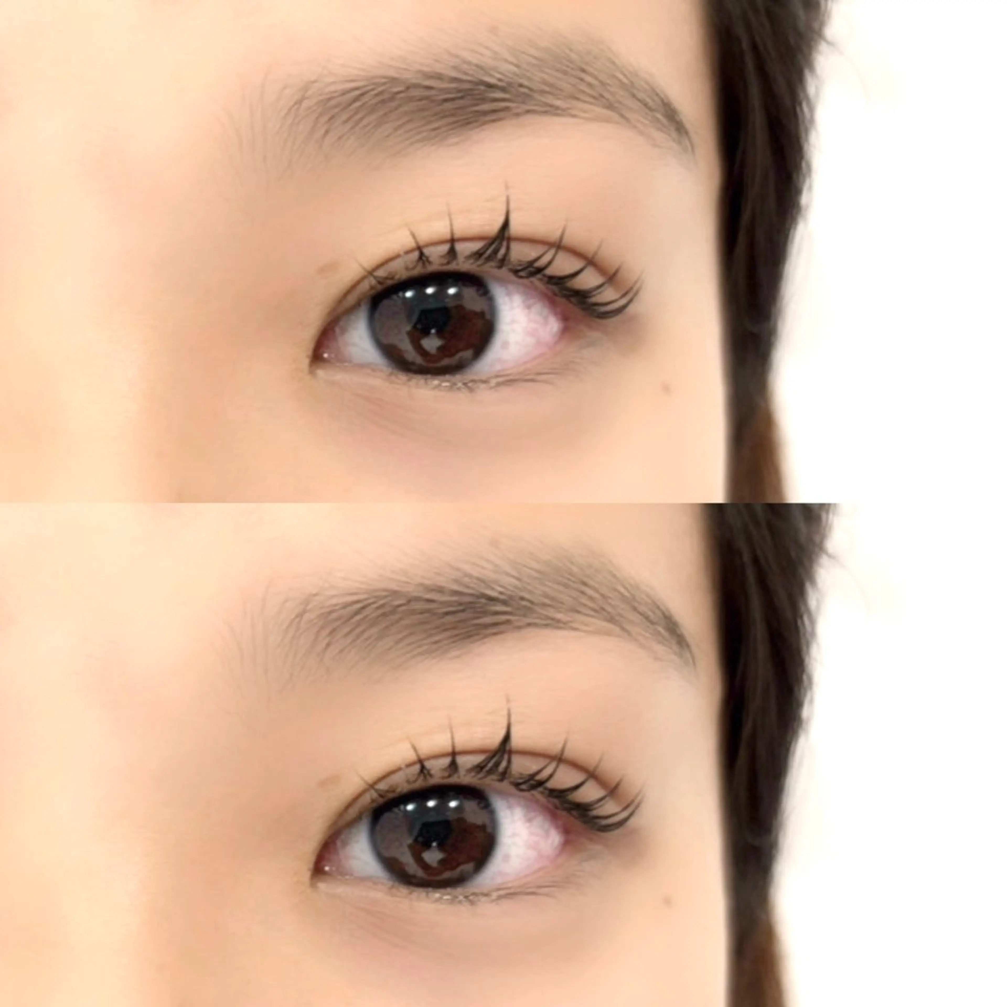 ️🫧 セラムラッシュリフト（上のみ）️🫧の写真