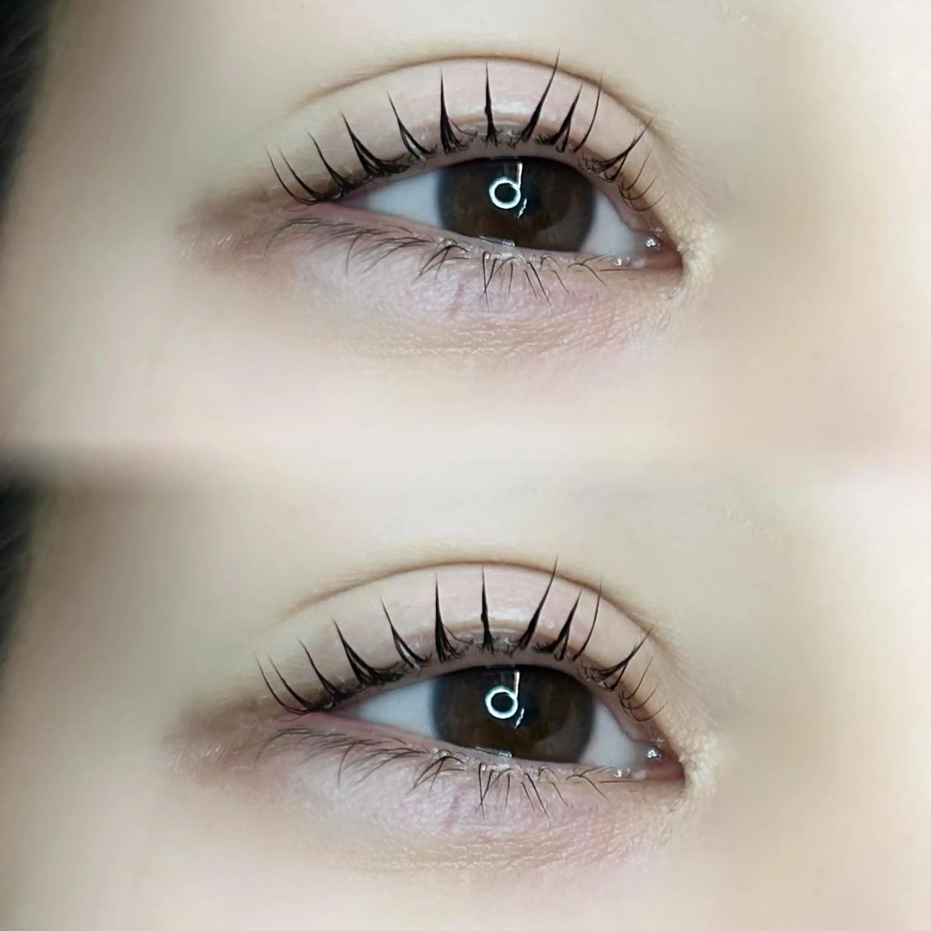 マツエク・マツパ パリジェンヌラッシュリフト 🦢✨fein. 原宿店✨🤍の眉毛・アイブロウイメージ