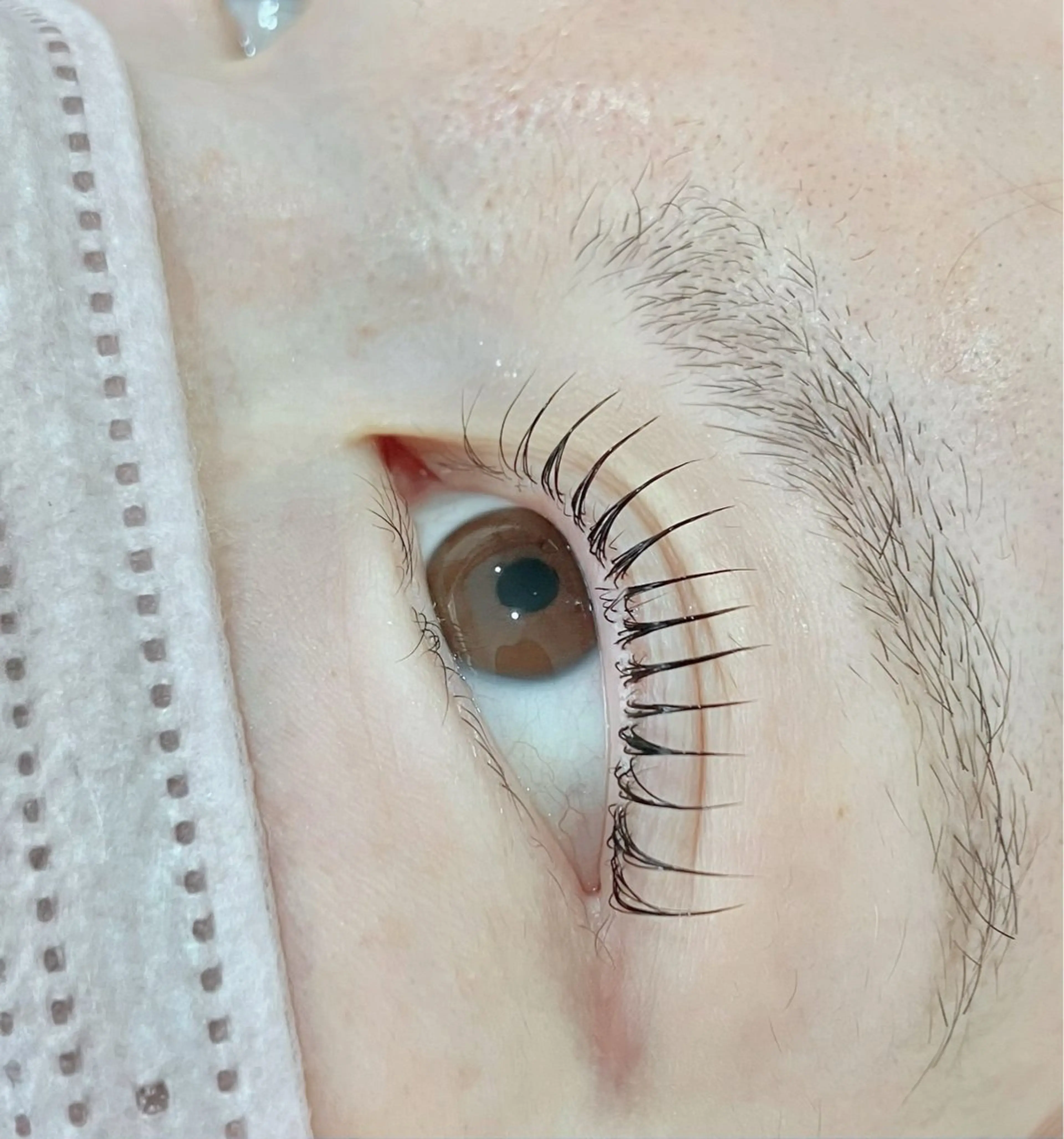 マツエク・マツパ マツパ Lotus YUIのマツエク・マツパデザイン