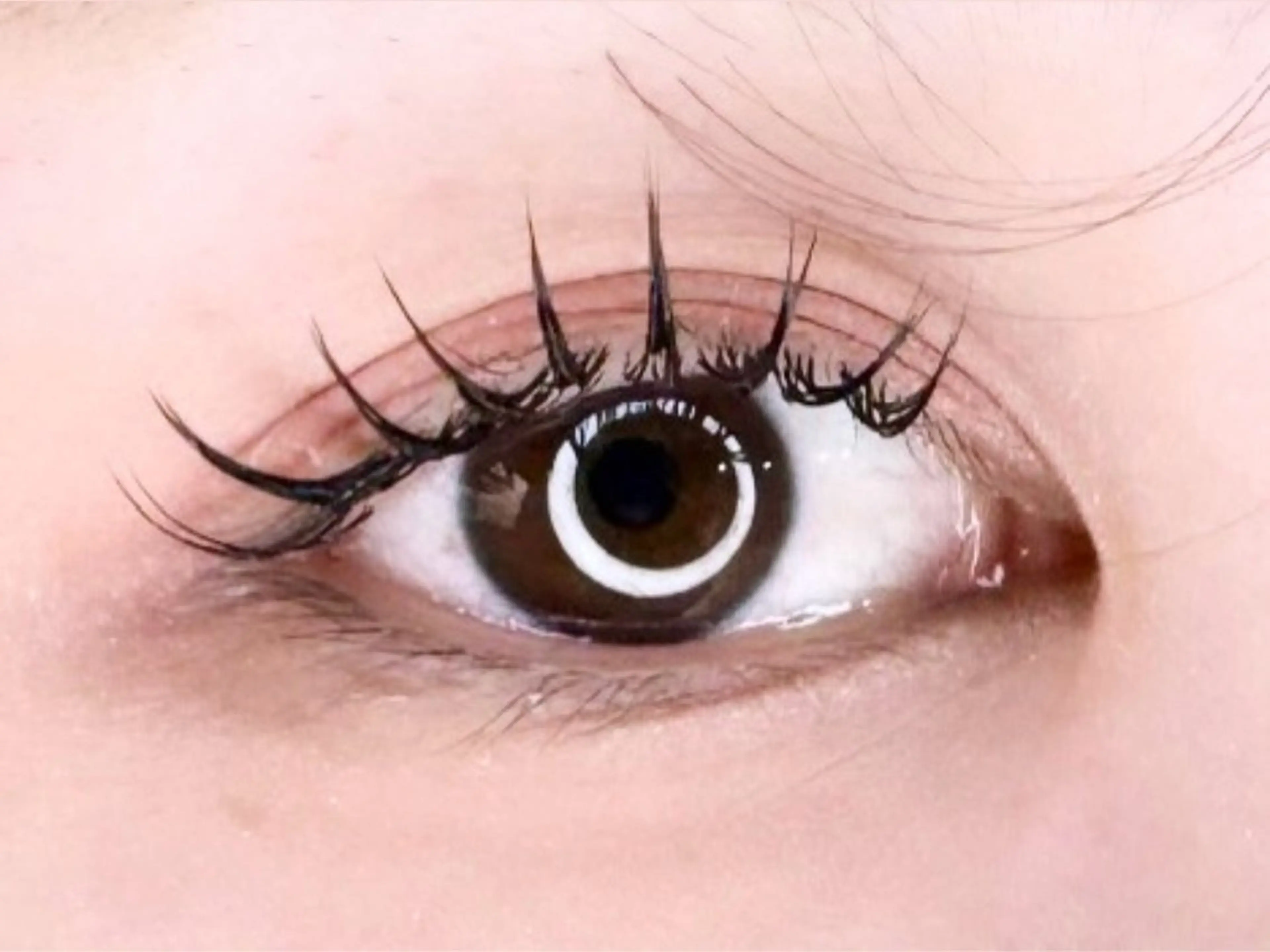 【アイシャンプー&オフ込】ダブルフラットラッシュorバインドロック60分つけ放題¥4500の写真