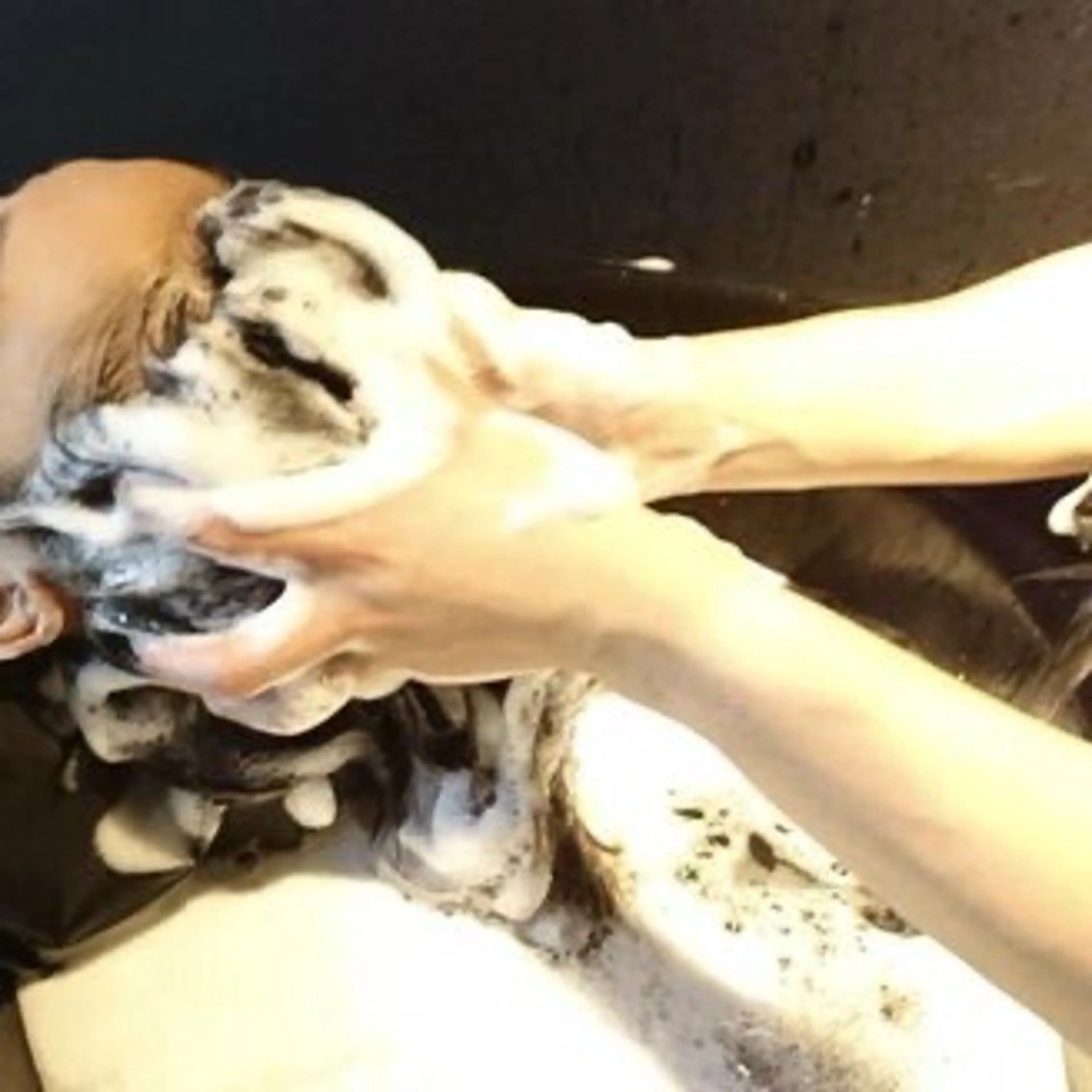 【癒しの】ヘッドスパ⭐︎頭皮の汚れ除去、お疲れの頭皮に💚の写真