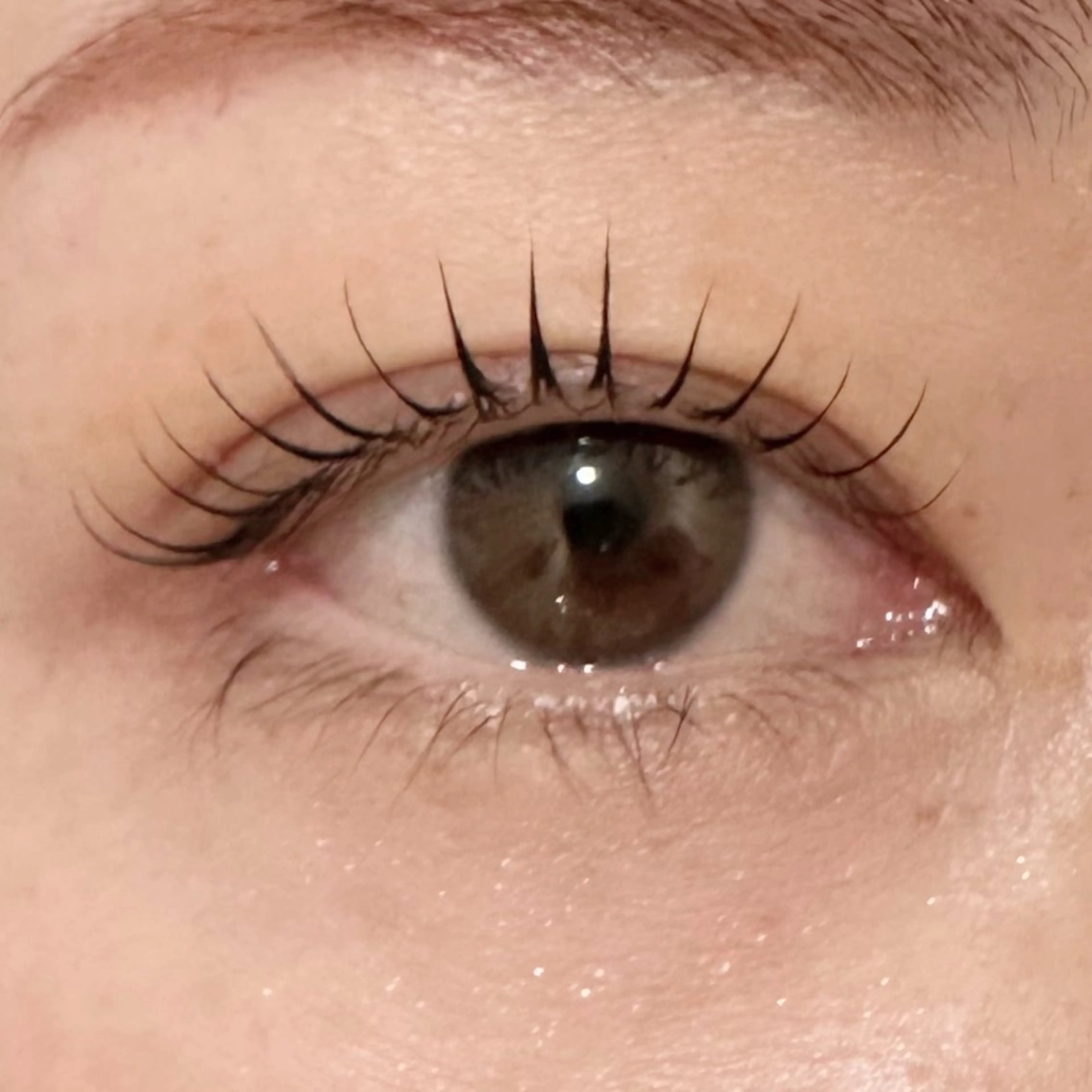 【ミニモ限定📢】上まつ毛パーマセット(アイシャンプー、トリートメント付き)の写真