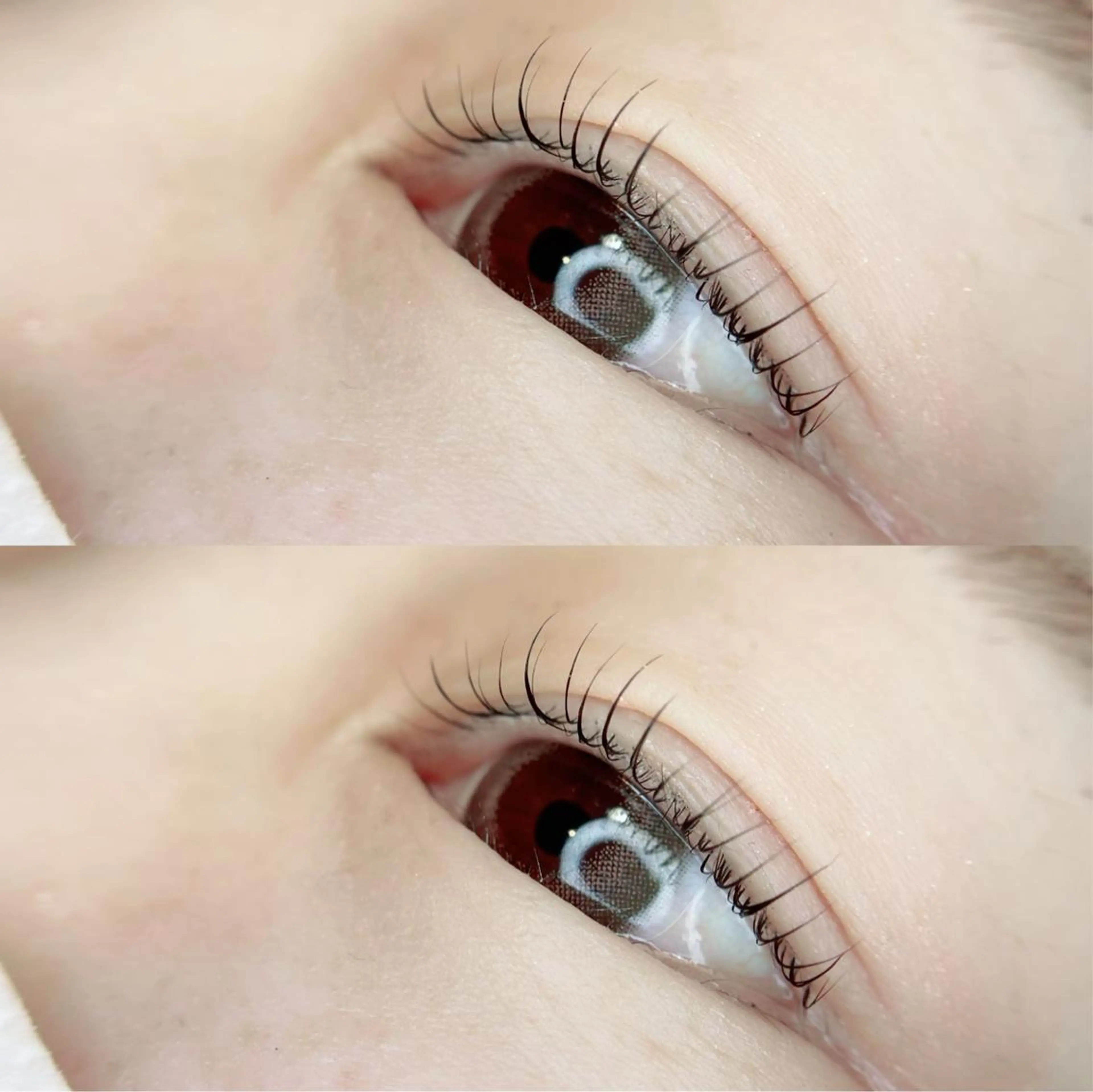 マツエク・マツパ mignon /まつげパーマ/眉毛のエステ・リラクイメージ