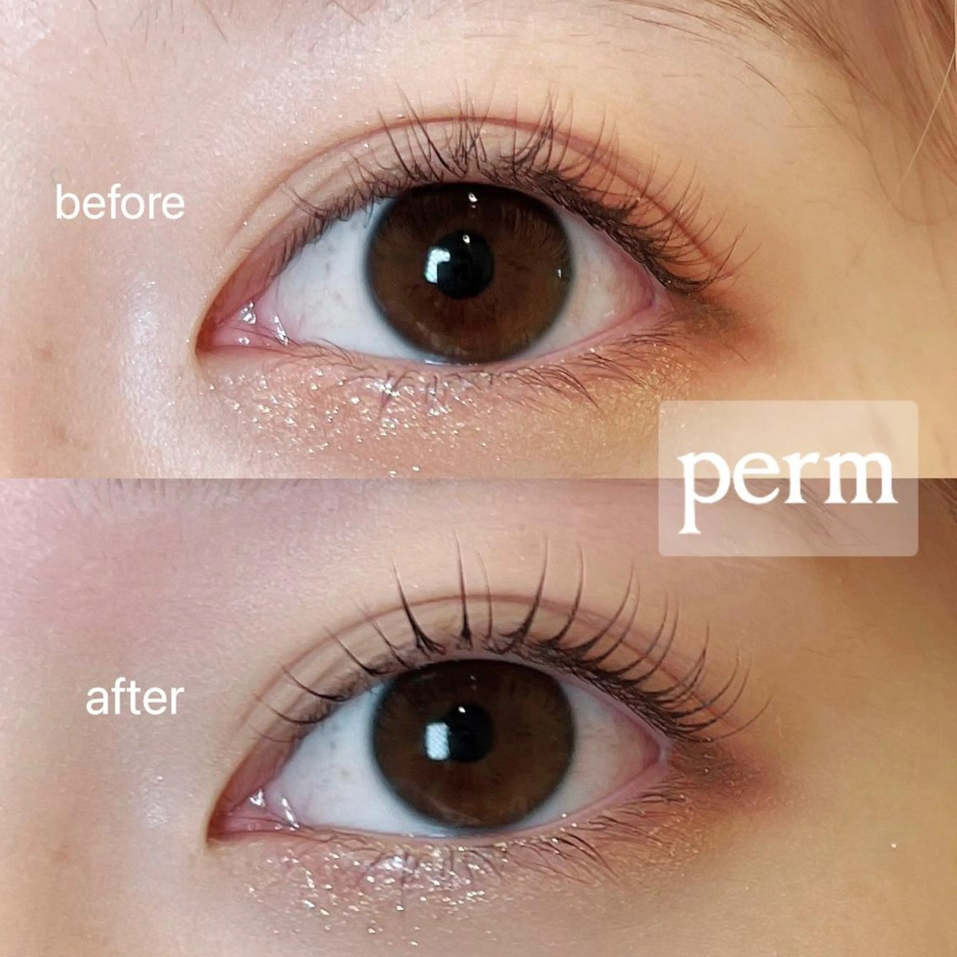 次世代まつげパーマ♥美容液コーティング付の写真