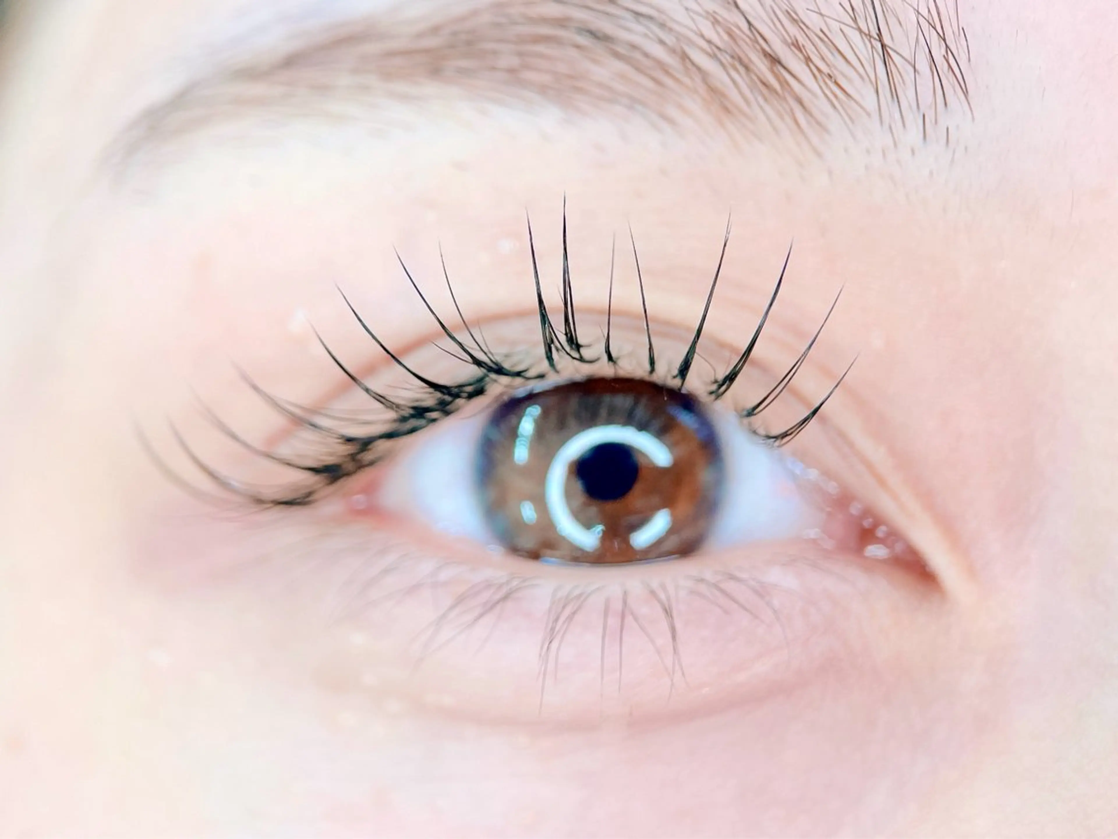 マツエク・マツパ ナチュラル 🩰ユ ウ 《eye&brow》のマツエク・マツパデザイン