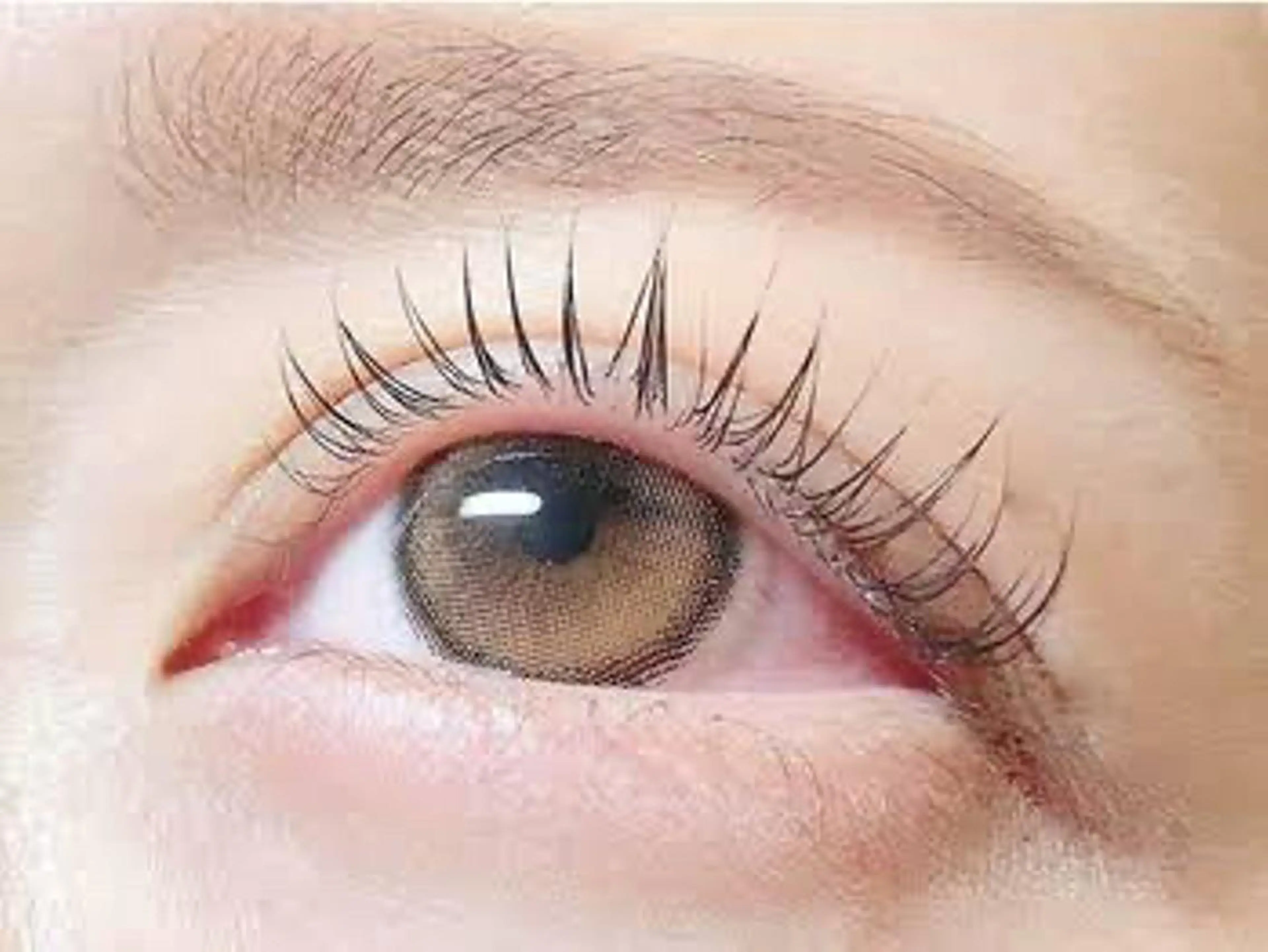 マツエク・マツパ 一重×まつ毛パーマ private salon anisのマツエク・マツパデザイン