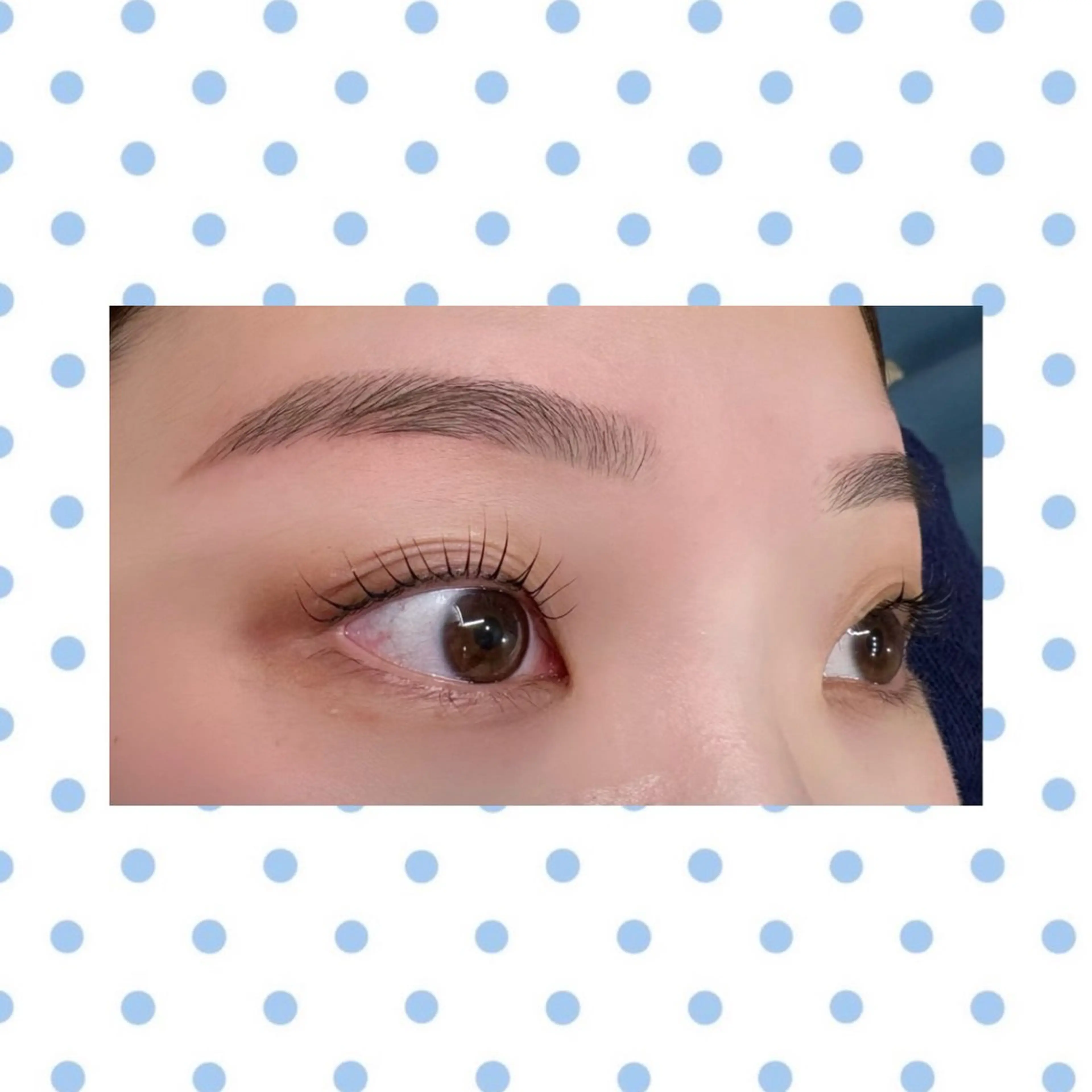 マツエク・マツパ ワックス脱毛 その他(アイブロウ) WHITEEYE🪄 kyuaの眉毛・アイブロウイメージ