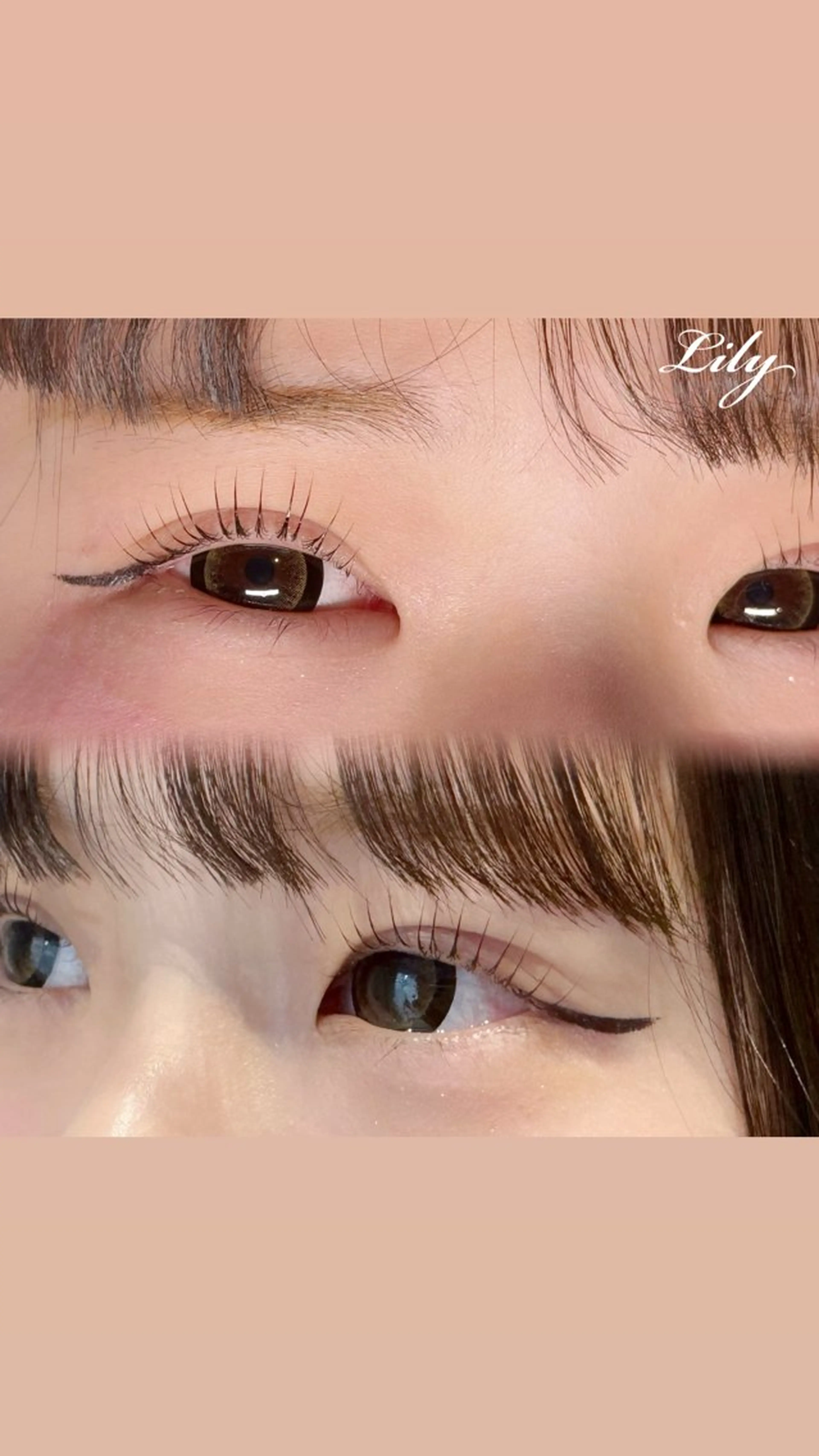 マツエク・マツパ Lily まつ毛専門店のマツエク・マツパデザイン