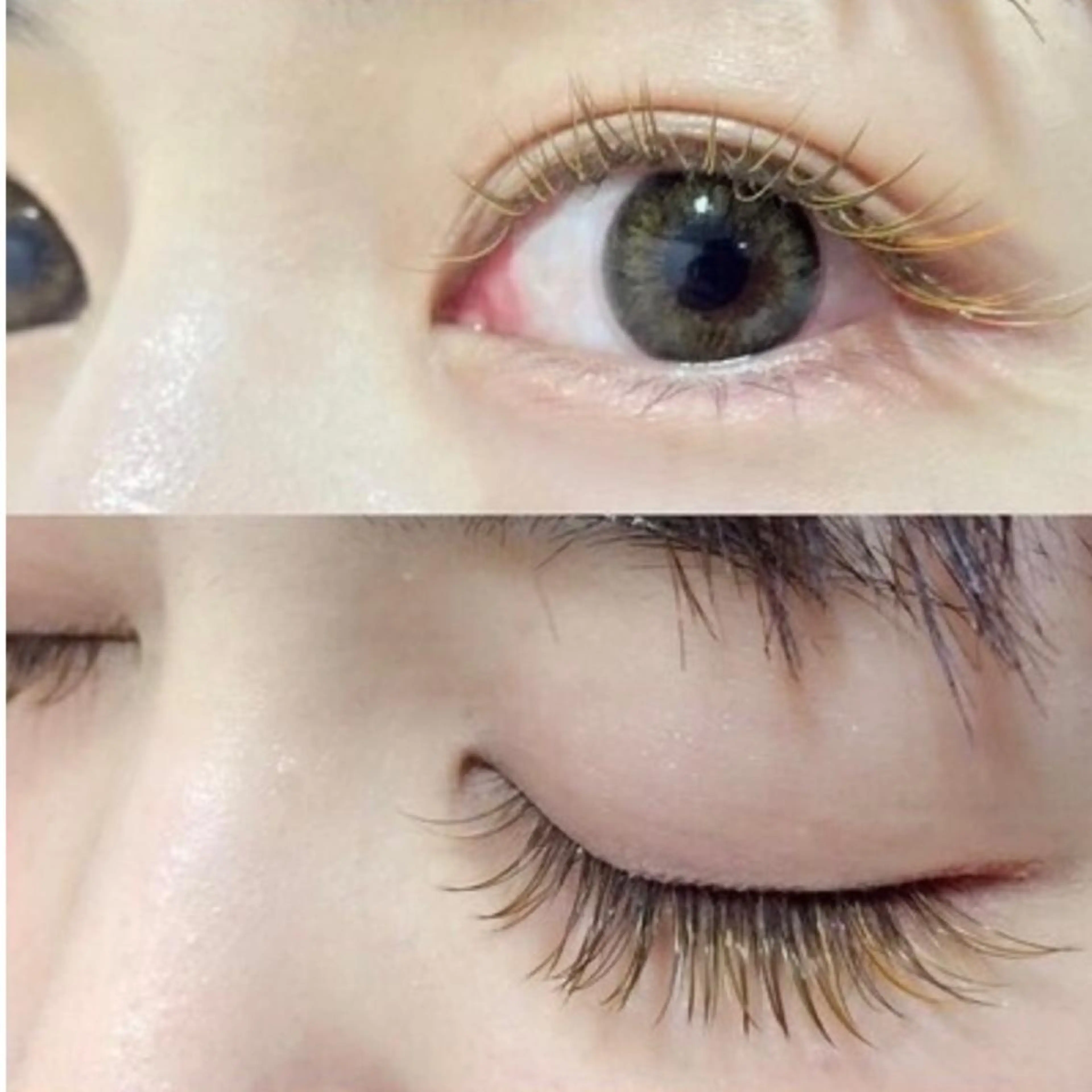 【12月🎄平日限定】選べるフラットラッシュorボリュームラッシュの写真