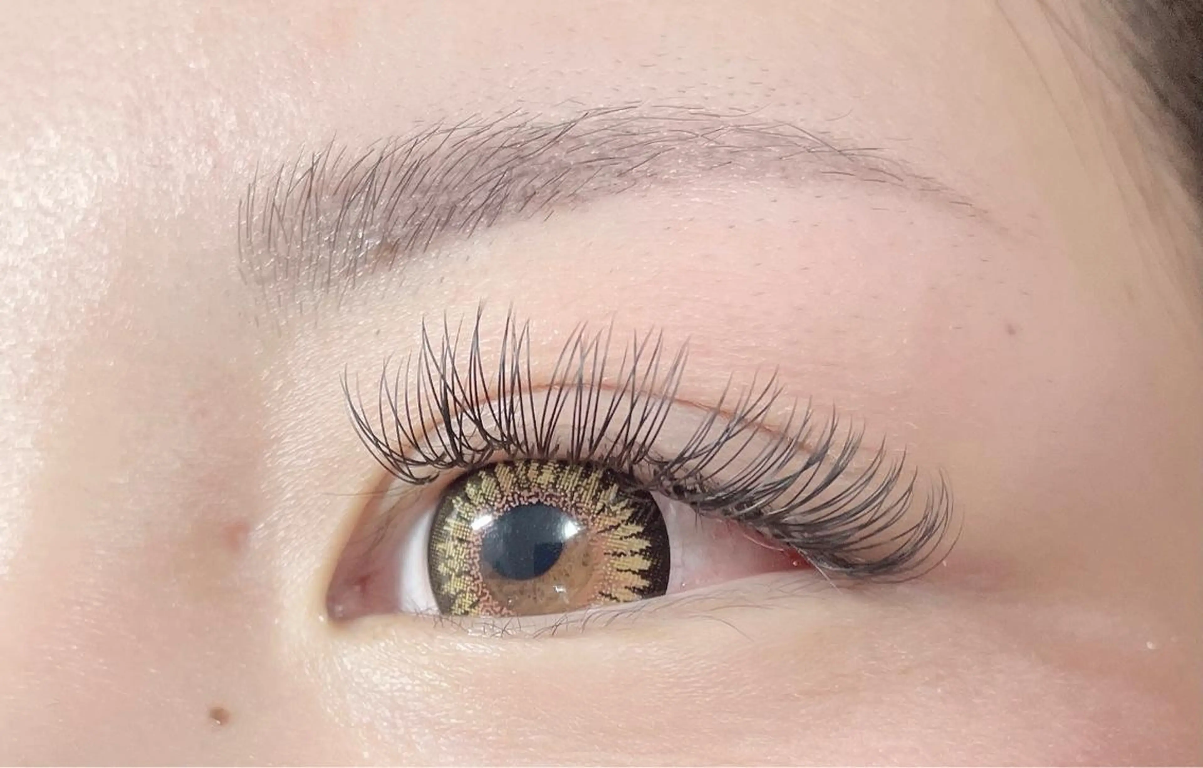 マツエク・マツパ Dカール ナチュラル アイラッシュサロンfleur🍀所属・🍀fleur🍀 束感/ワンホン/杉浦のマツエク・マツパデザイン