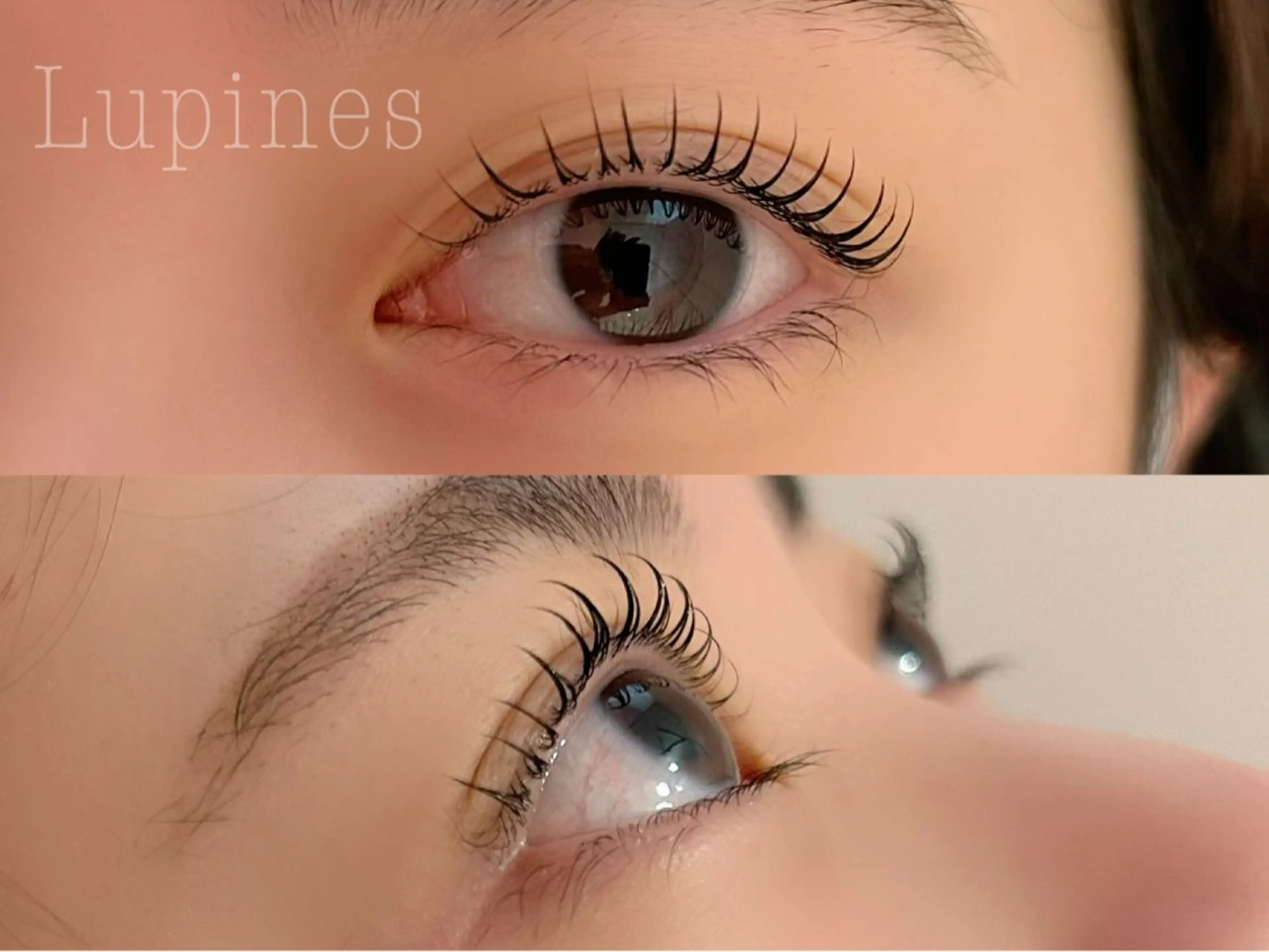 マツエク・マツパ 一重×まつ毛パーマ マツパ 🌱Lupines Natsumi🌱のマツエク・マツパデザイン