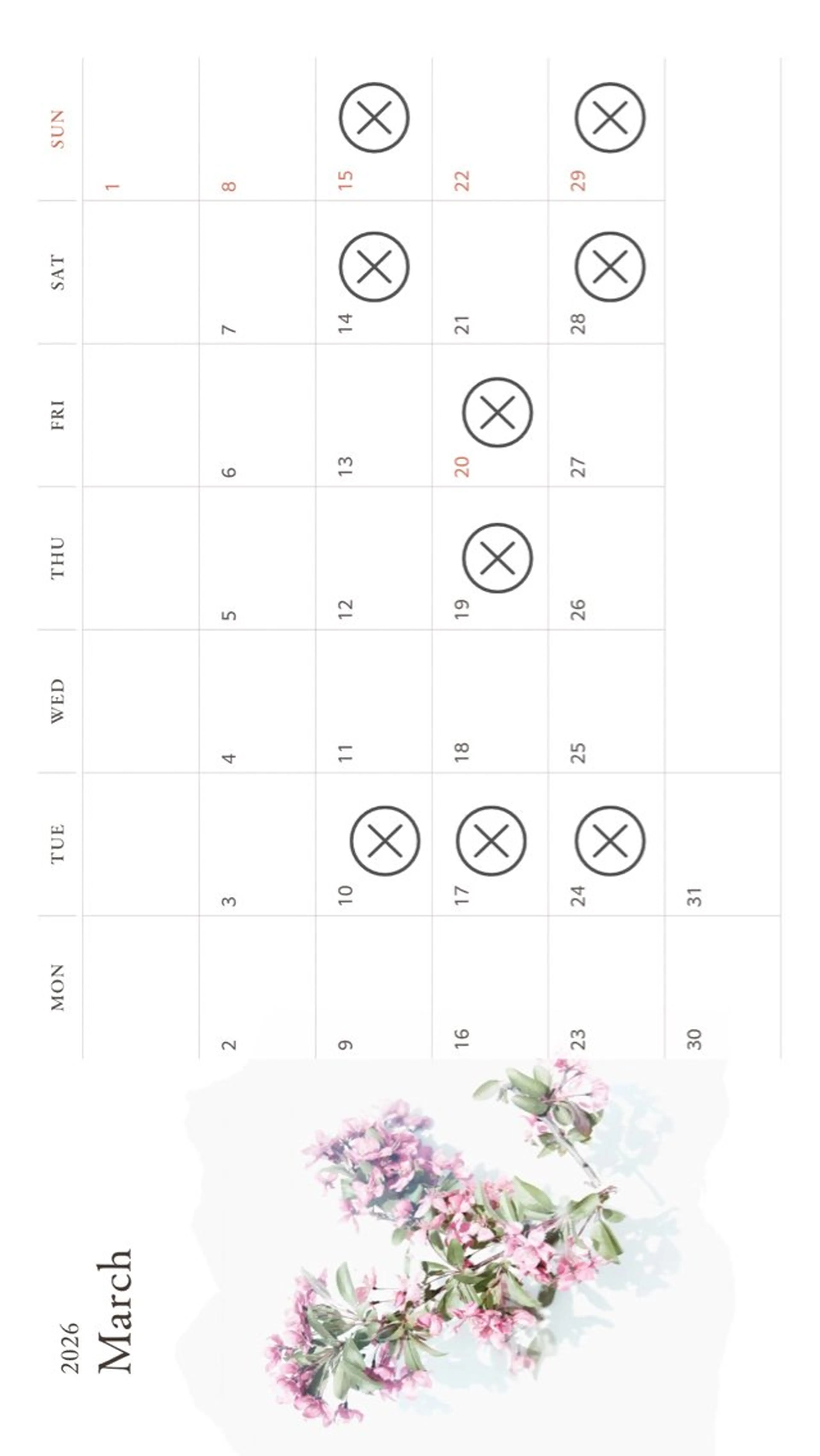 マツエク・マツパ マツエク eyelash presh yukaのマツエク・マツパデザイン