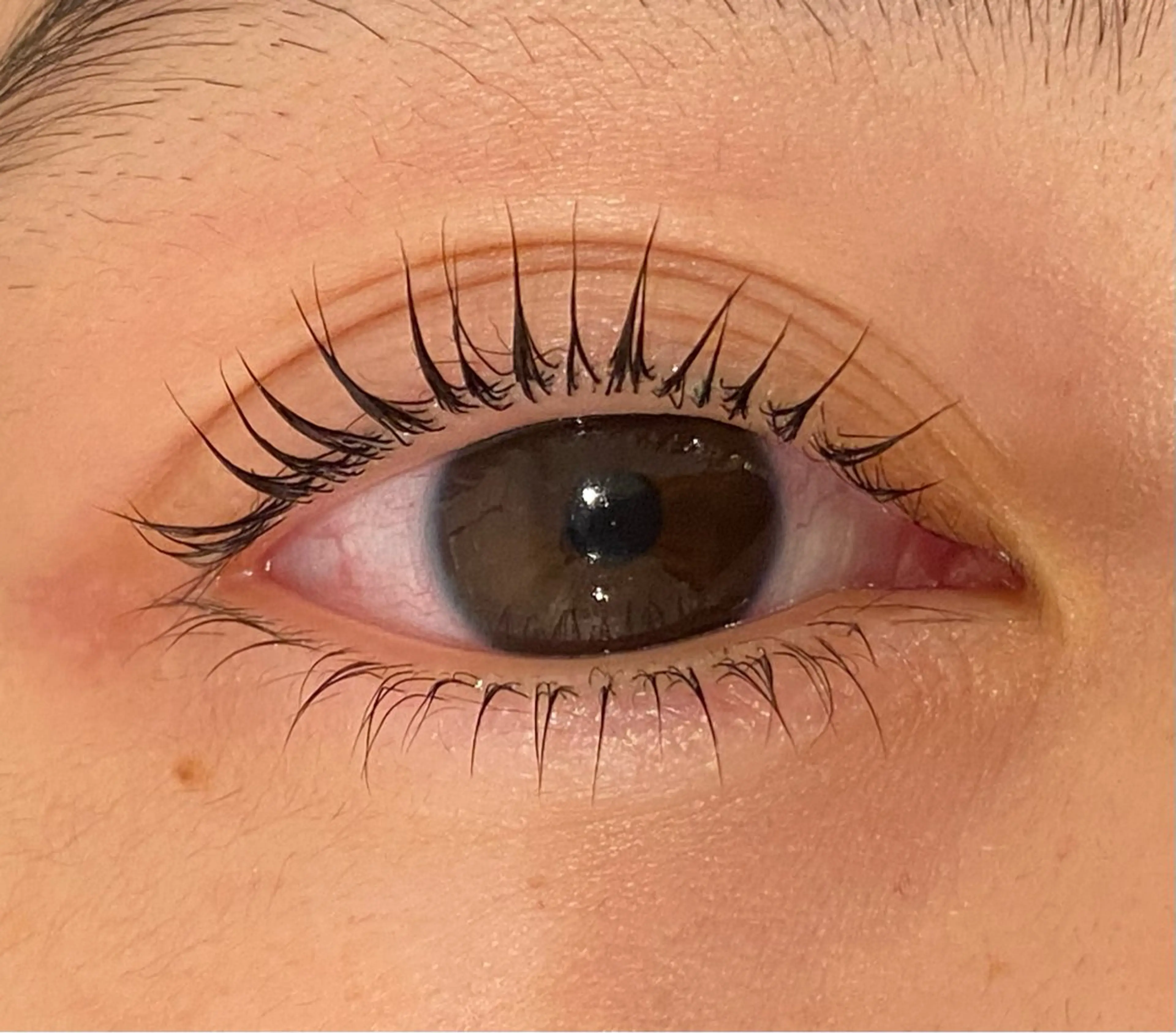 マツエク・マツパ Daisy lash 京橋店堀井のマツエク・マツパデザイン