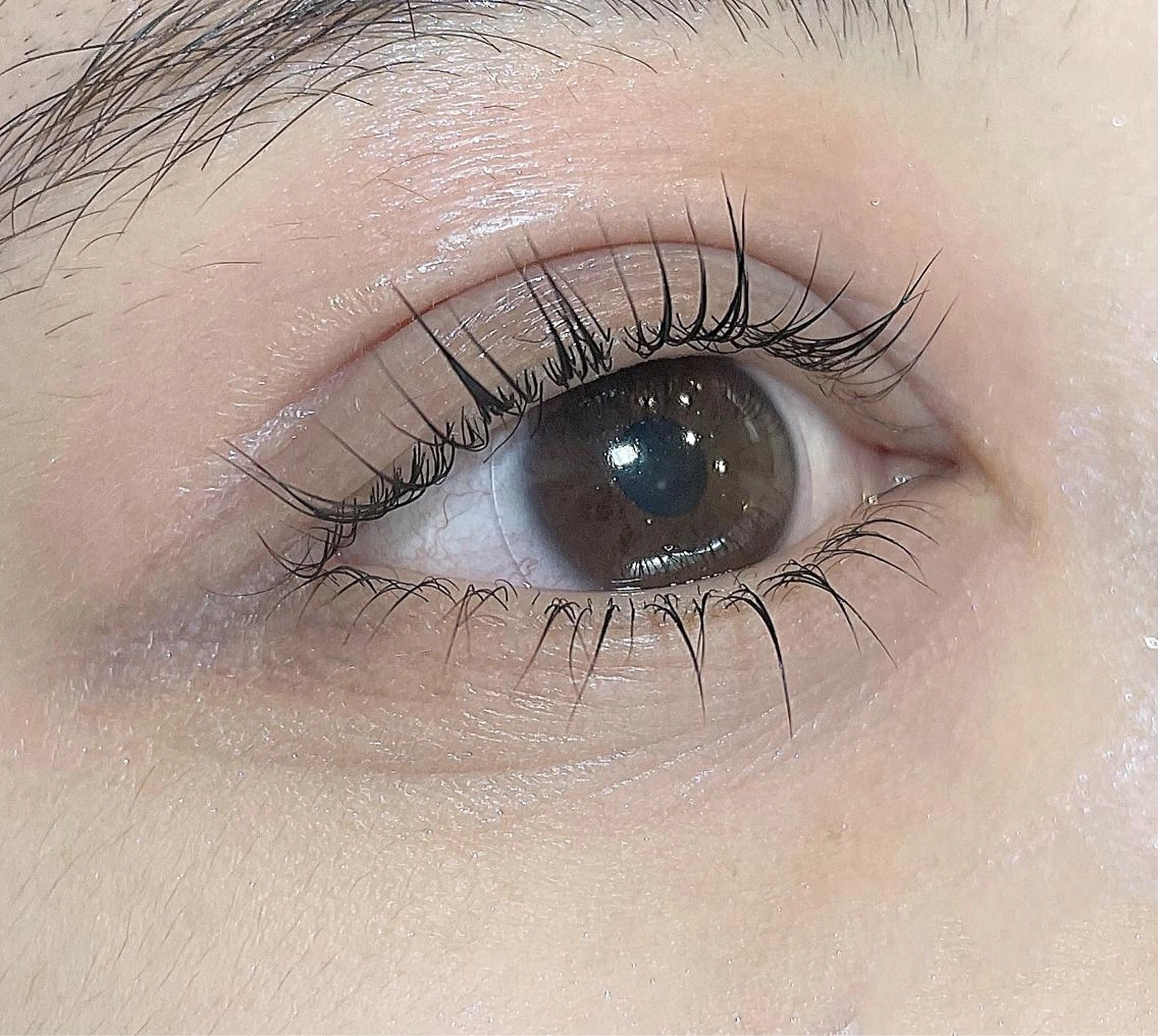 マツエク・マツパ パリジェンヌラッシュリフト マツパ Emil eye roomのマツエク・マツパデザイン