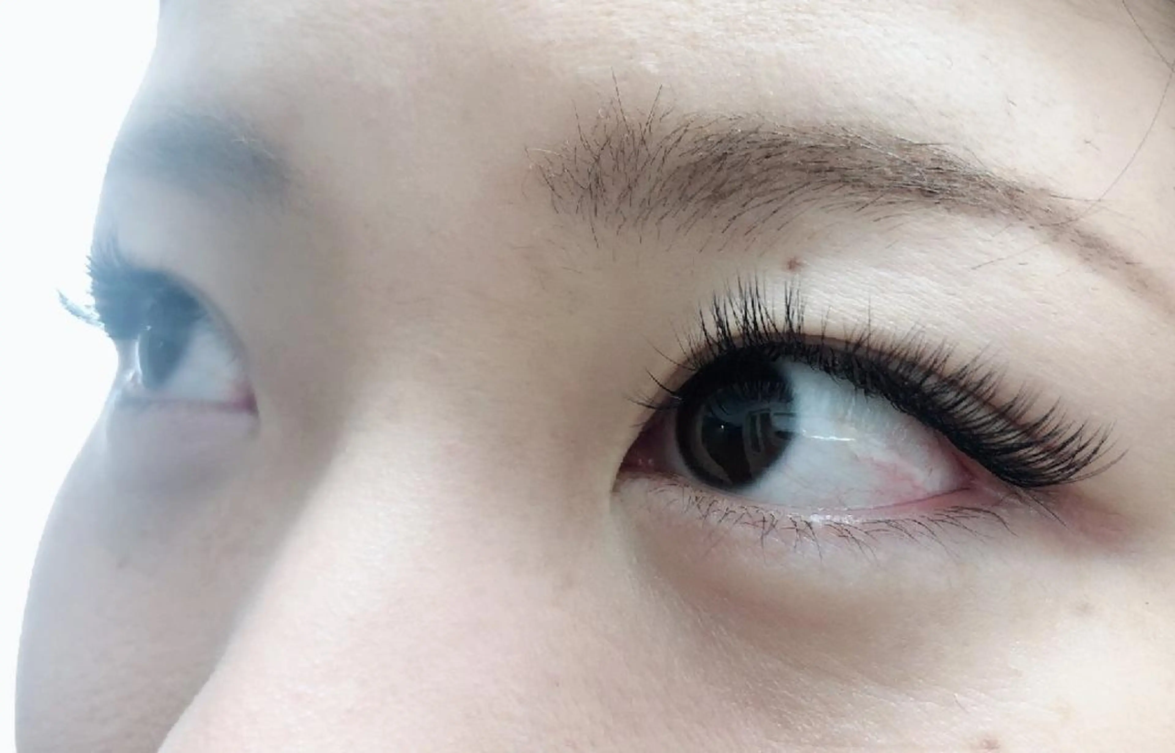 マツエク・マツパ 付け放題 フラットラッシュ ナチュラル セーブル 下まつげエクステ マツエク 吉岡 ゆうなのマツエク・マツパデザイン